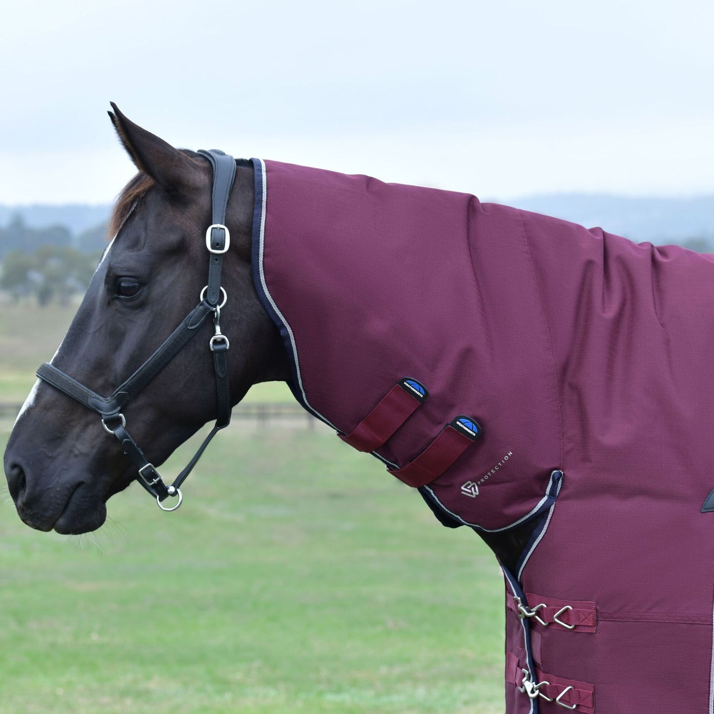 Weatherbeeta ComFiTec Essential Turnout Combo 360g