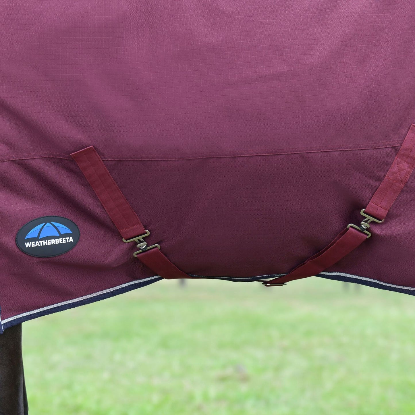 Weatherbeeta ComFiTec Essential Turnout Combo 360g