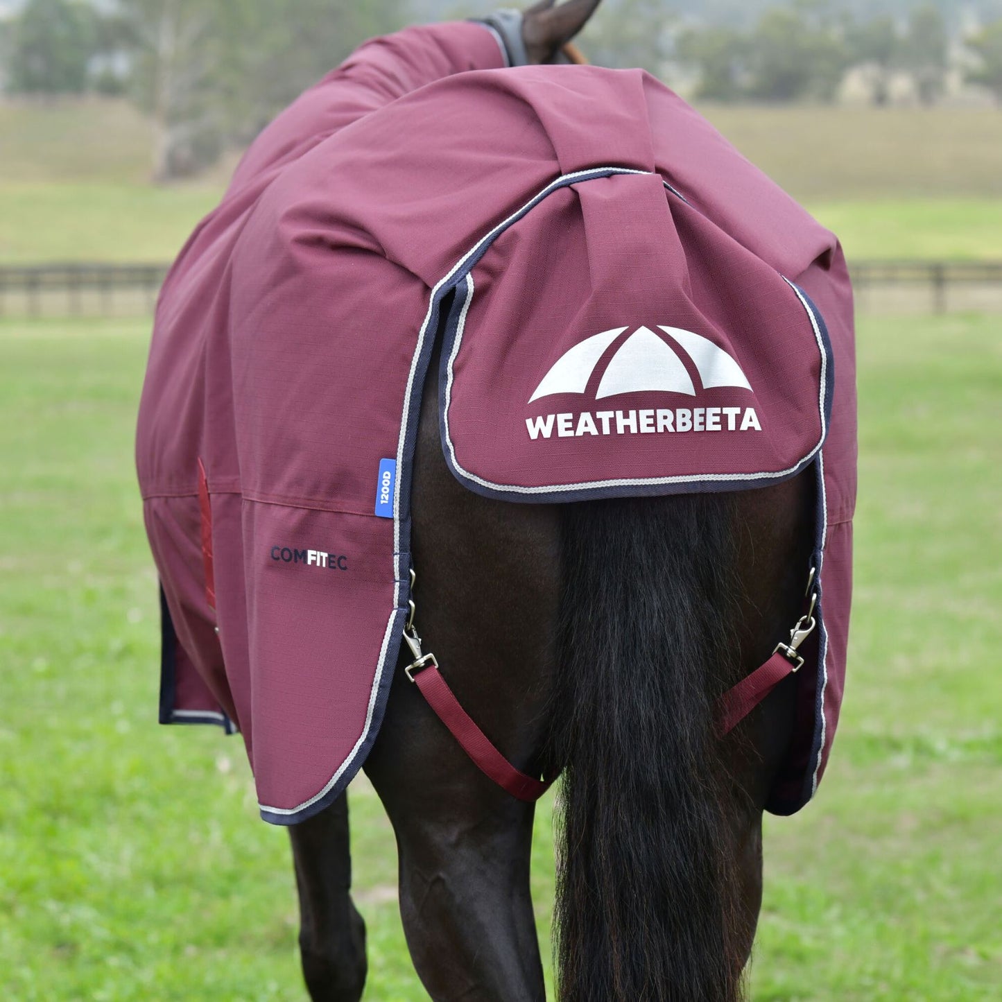 Weatherbeeta ComFiTec Essential Turnout Combo 220g