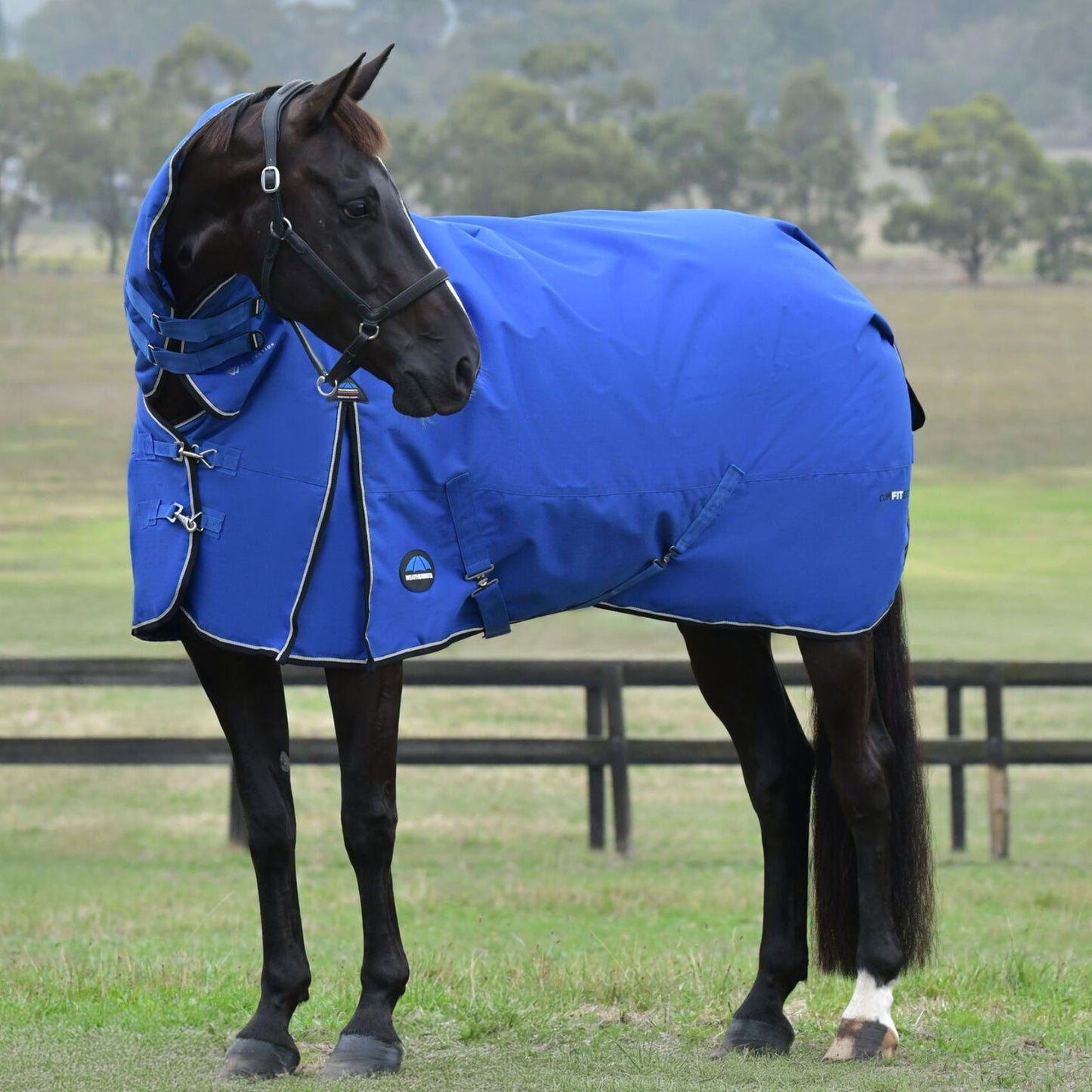 Weatherbeeta ComFiTec Essential Turnout Combo 220g