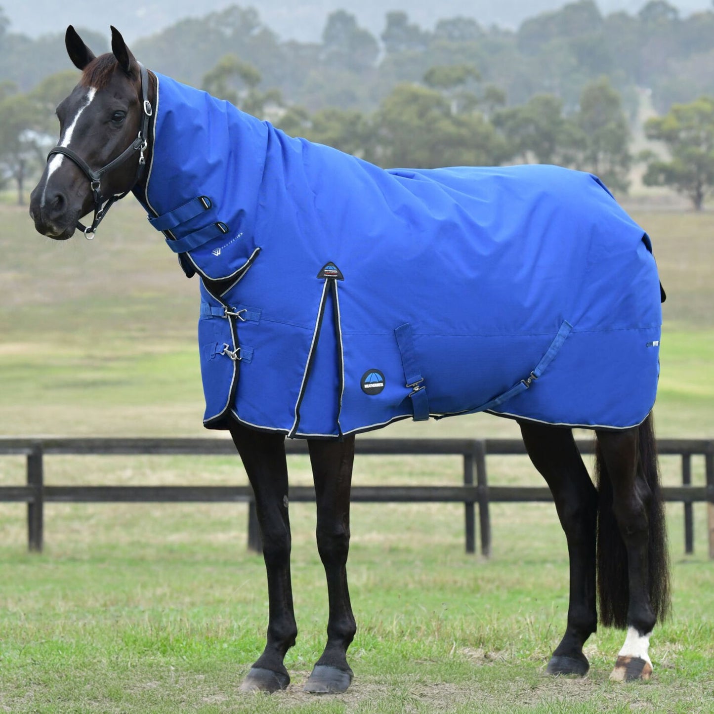 Weatherbeeta ComFiTec Essential Turnout Combo 220g