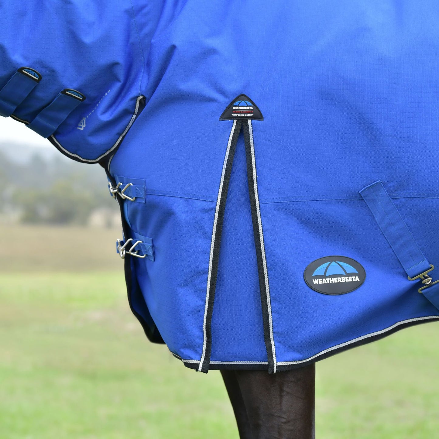 Weatherbeeta ComFiTec Essential Turnout Combo 220g