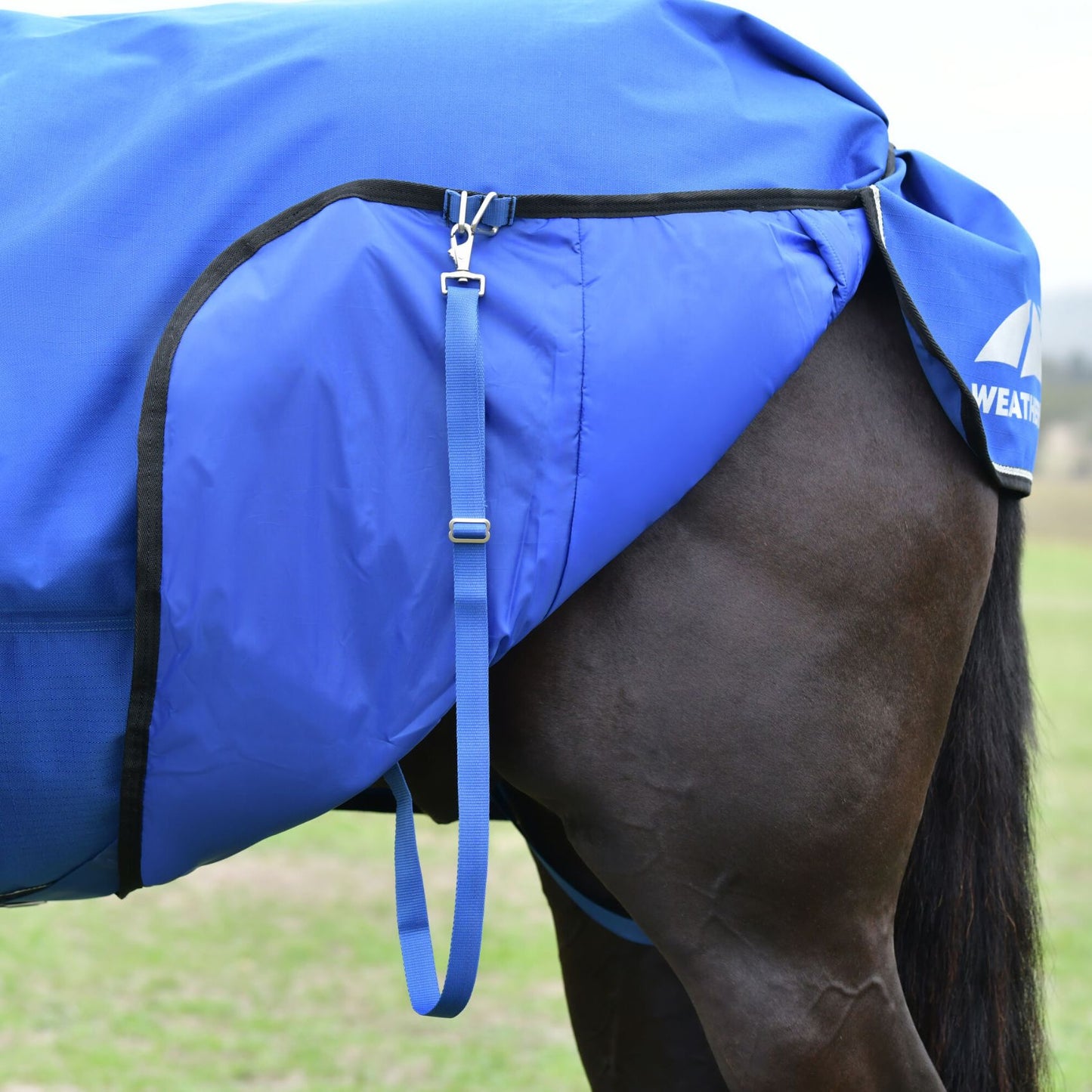Weatherbeeta ComFiTec Essential Turnout Combo 220g