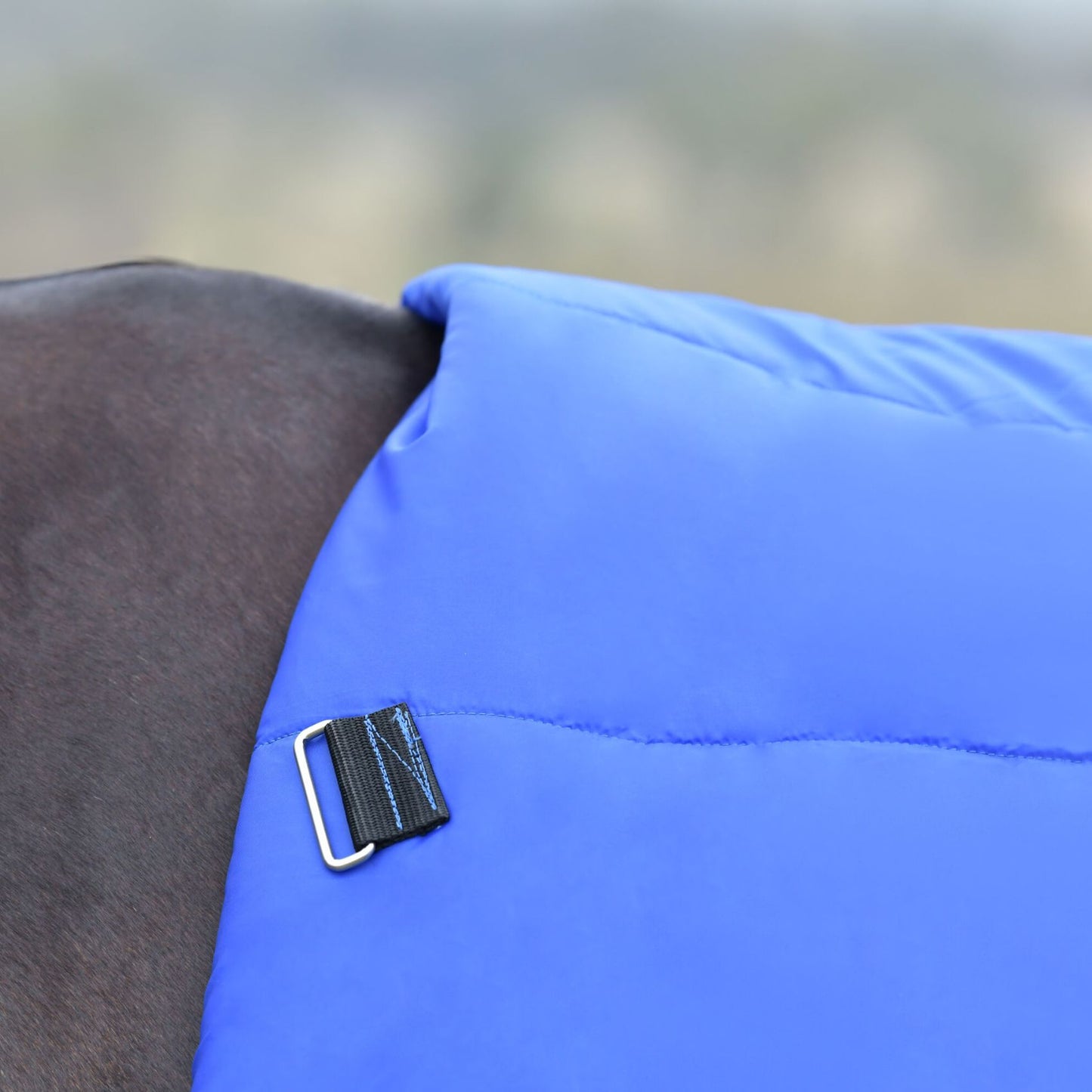 Weatherbeeta ComFiTec Essential Turnout Combo 220g