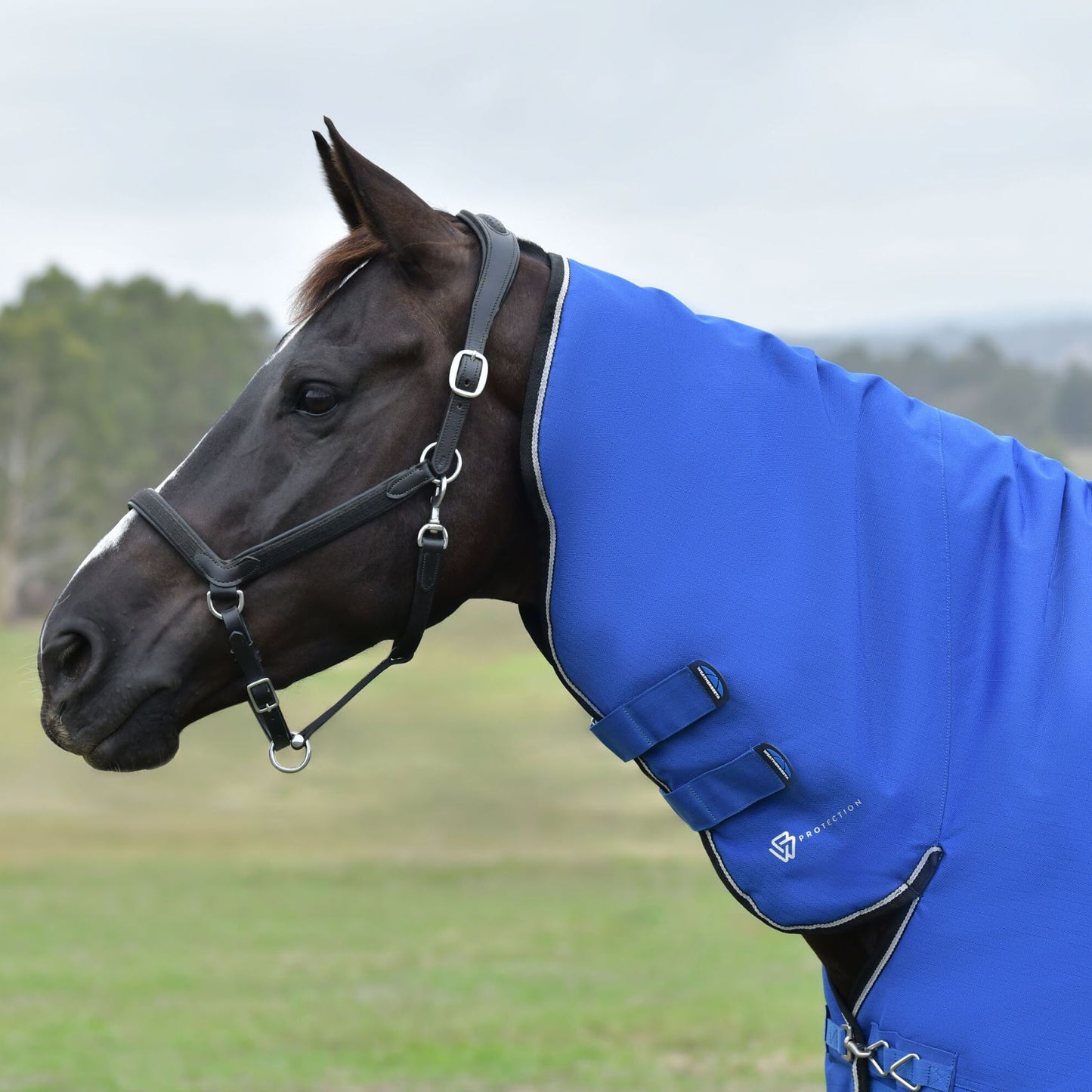 Weatherbeeta ComFiTec Essential Turnout Combo 220g
