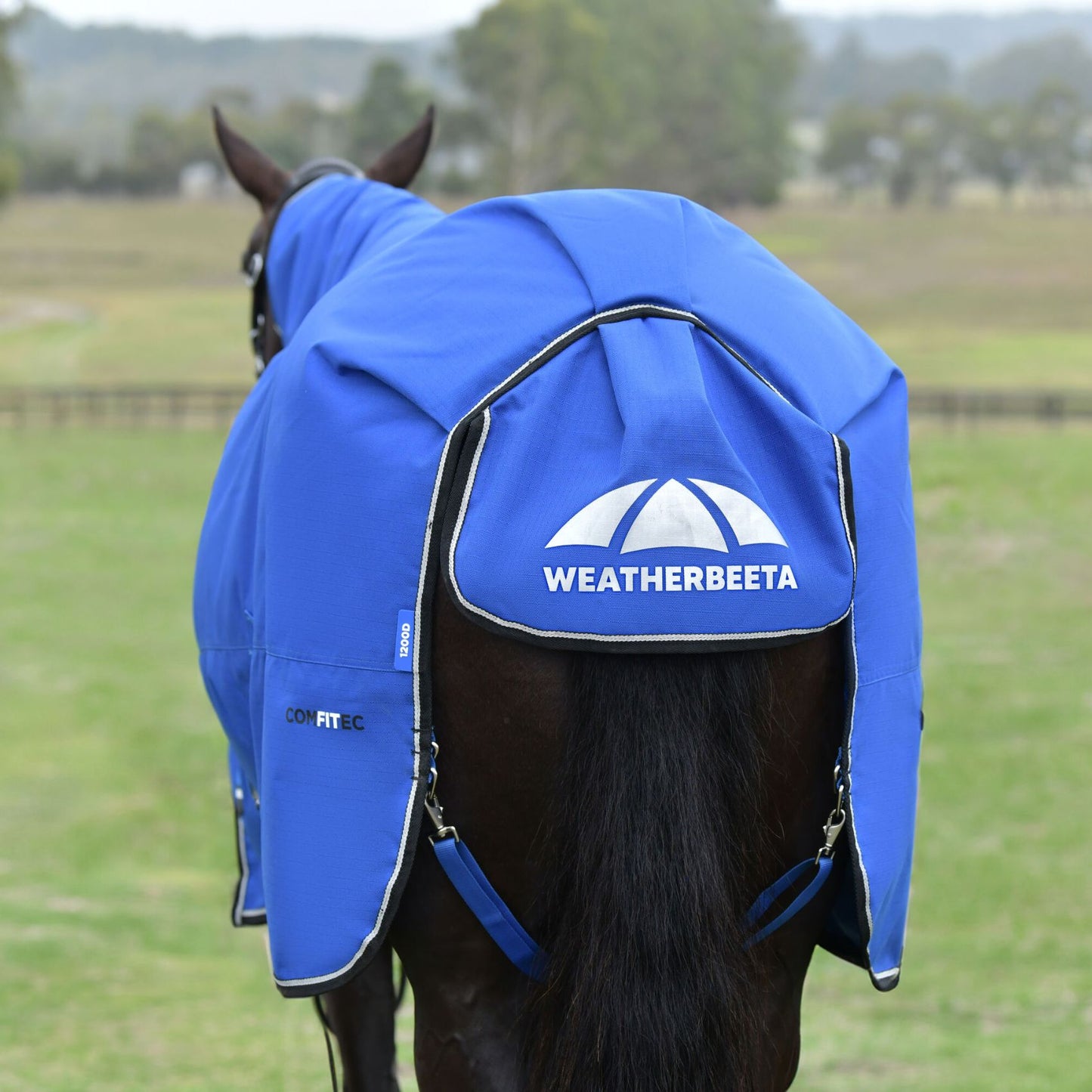Weatherbeeta ComFiTec Essential Turnout Combo 220g