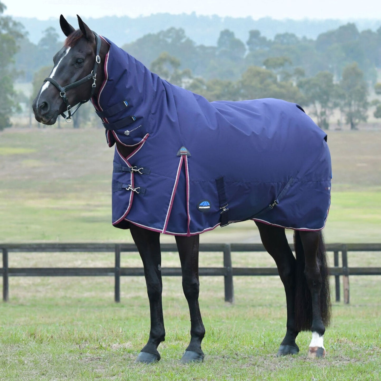 Weatherbeeta ComFiTec Essential Turnout Combo 360g