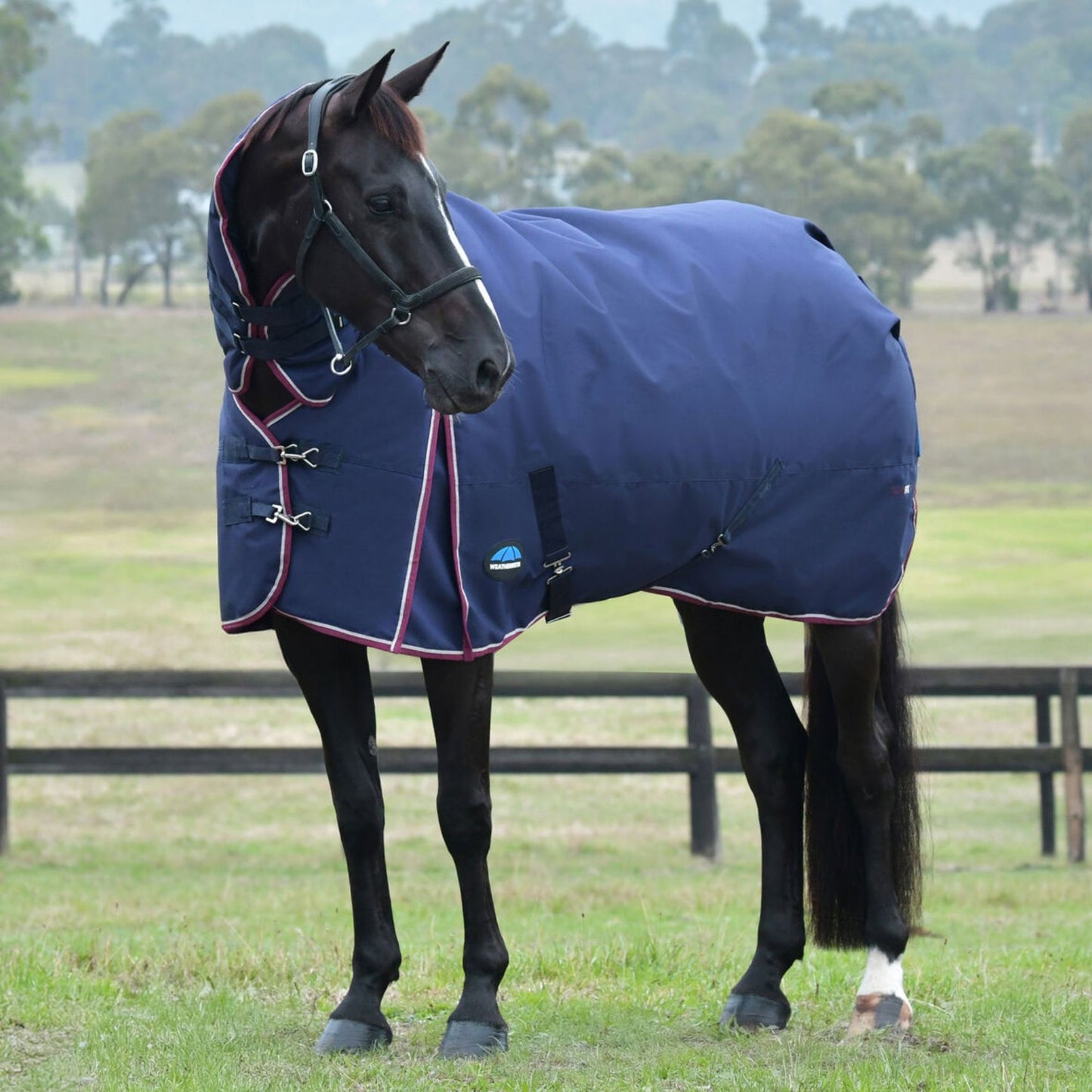 Weatherbeeta ComFiTec Essential Turnout Combo 360g