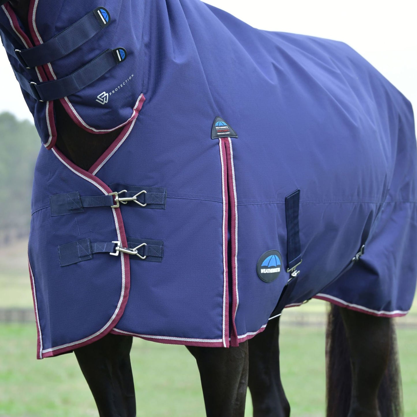 Weatherbeeta ComFiTec Essential Turnout Combo 360g