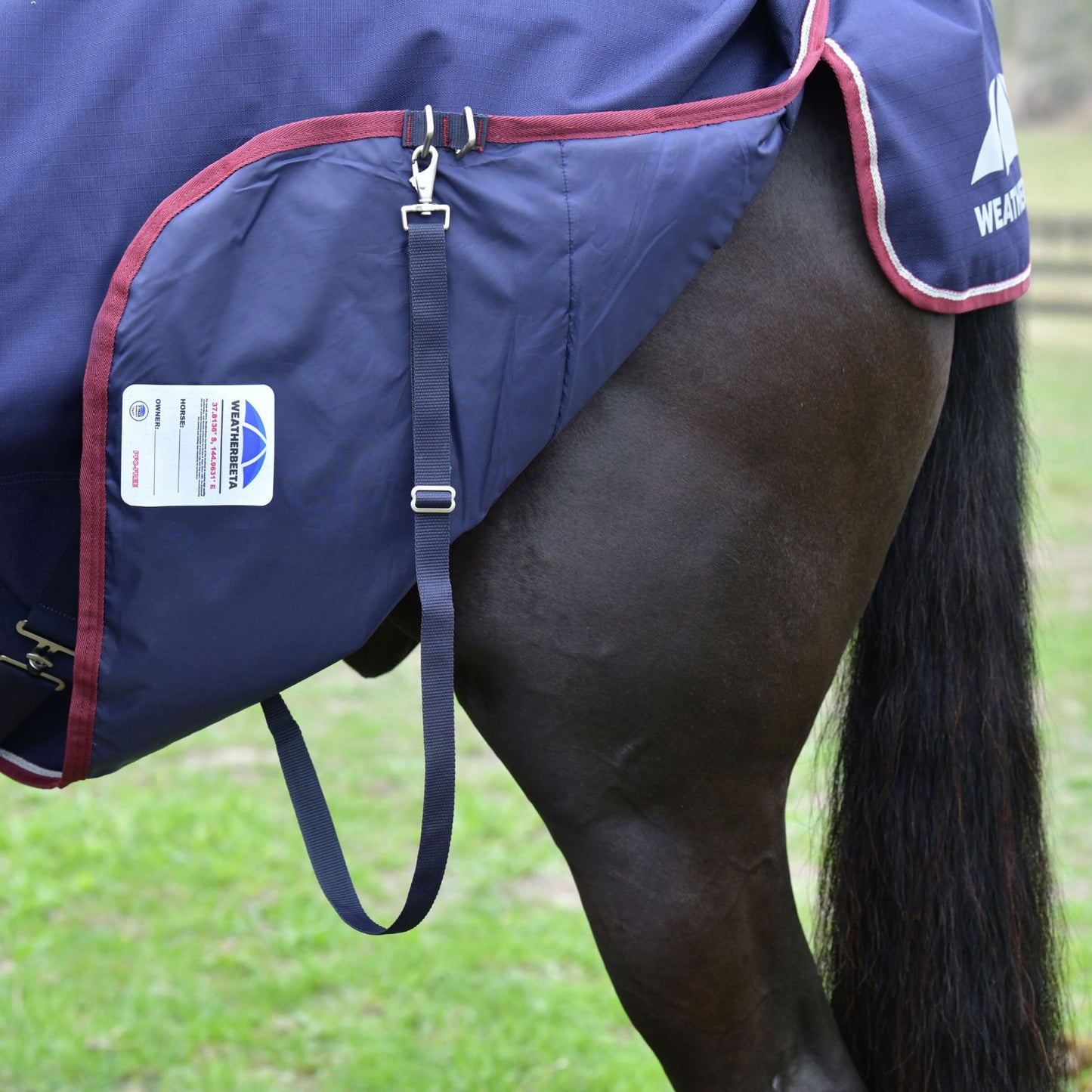 Weatherbeeta ComFiTec Essential Turnout Combo 360g