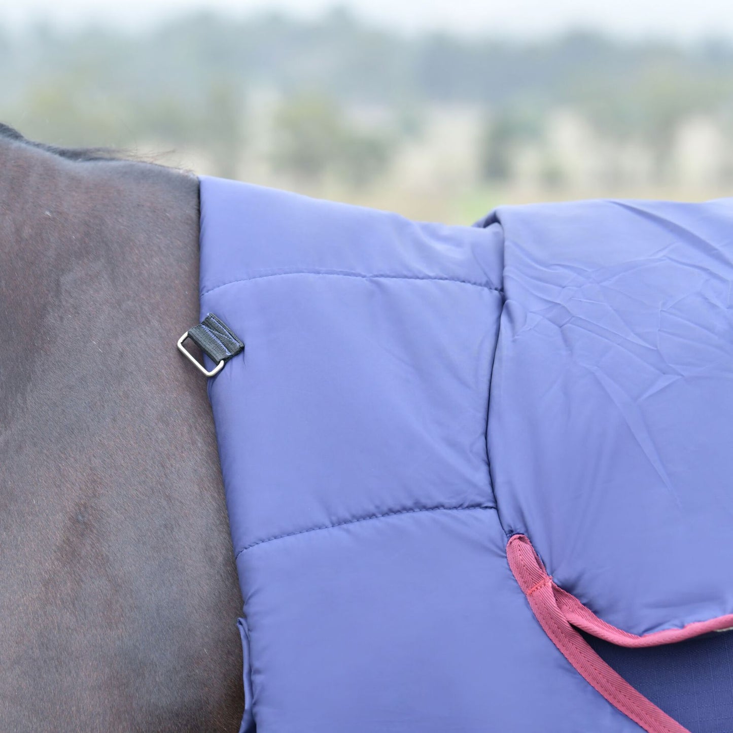 Weatherbeeta ComFiTec Essential Turnout Combo 360g