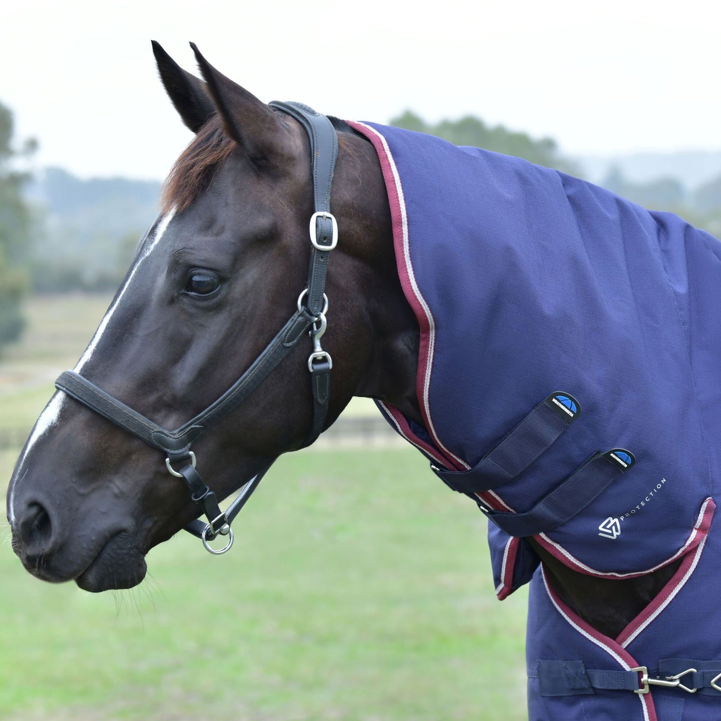 Weatherbeeta ComFiTec Essential Turnout Combo 360g