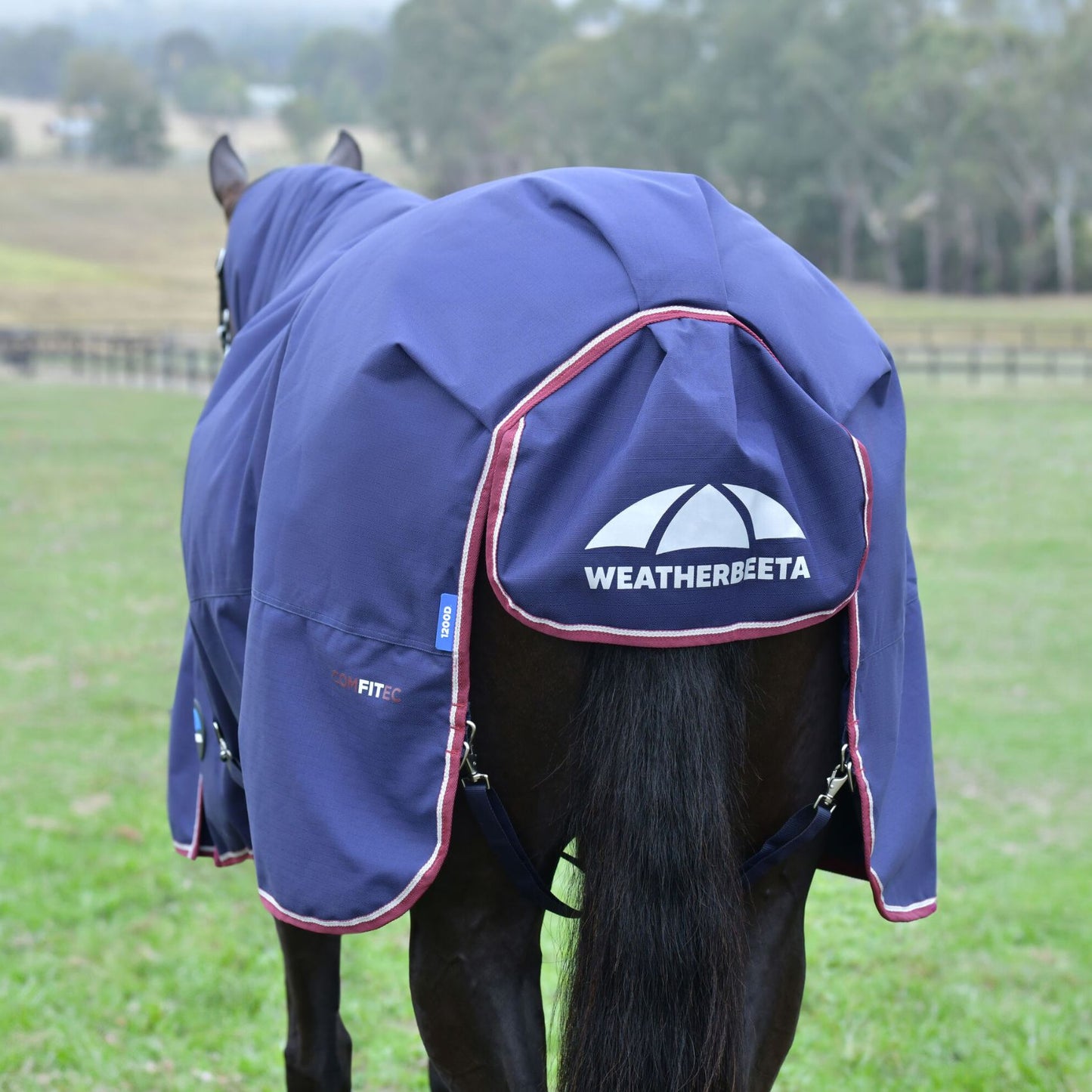 Weatherbeeta ComFiTec Essential Turnout Combo 360g