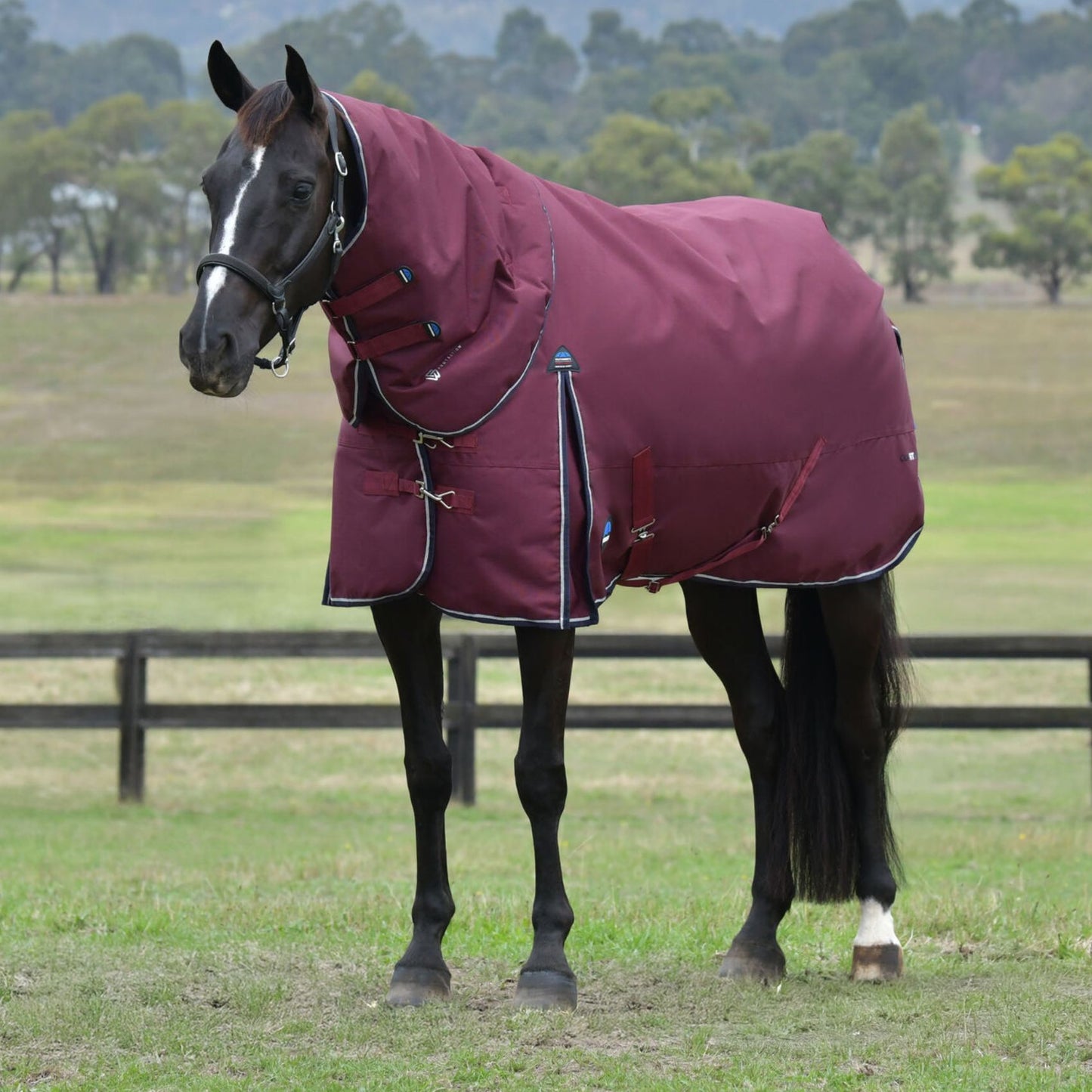 Weatherbeeta ComFiTec Essential Turnout Detach-A-Neck 220g Burgundy/Navy