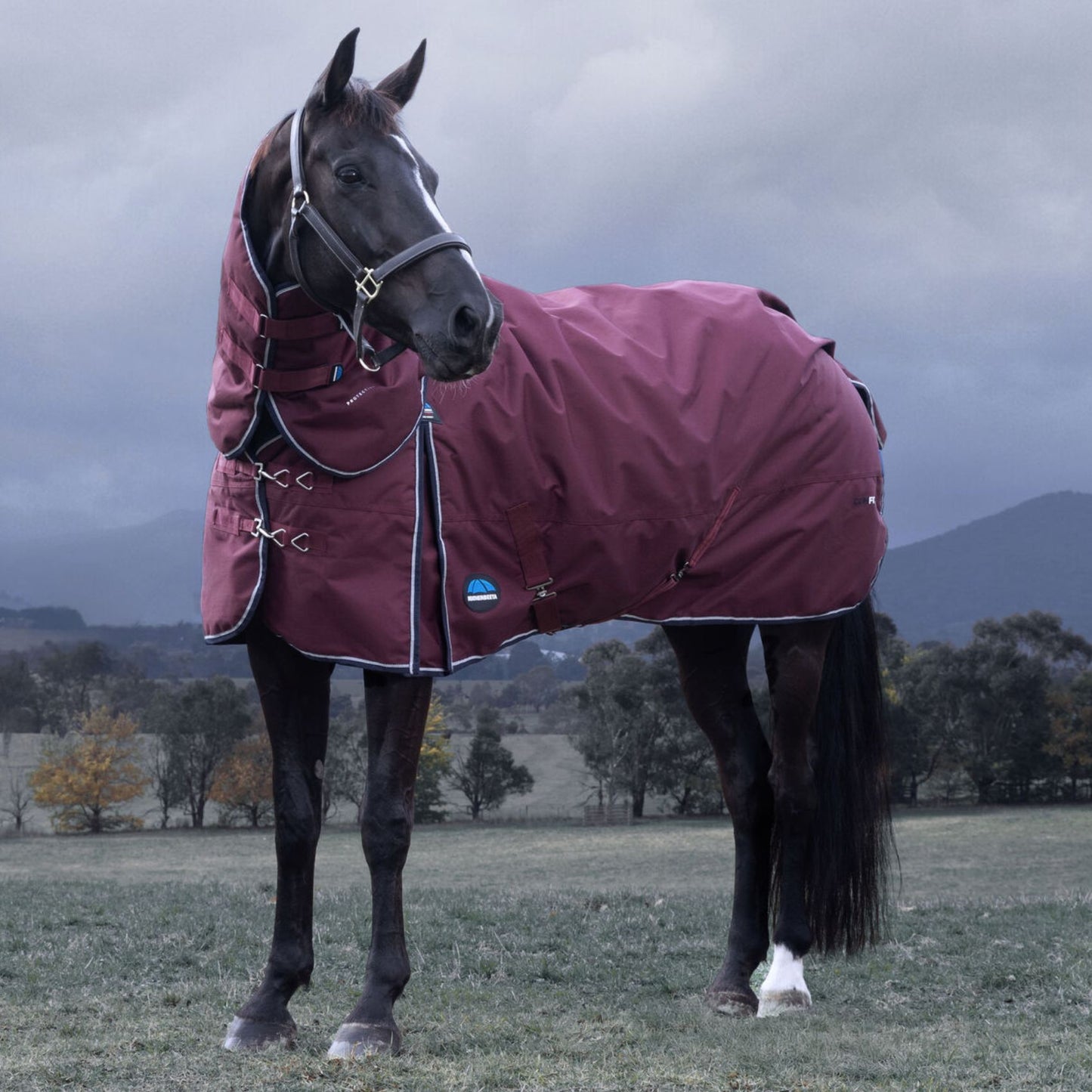 Weatherbeeta ComFiTec Essential Turnout Detach-A-Neck 220g Burgundy/Navy