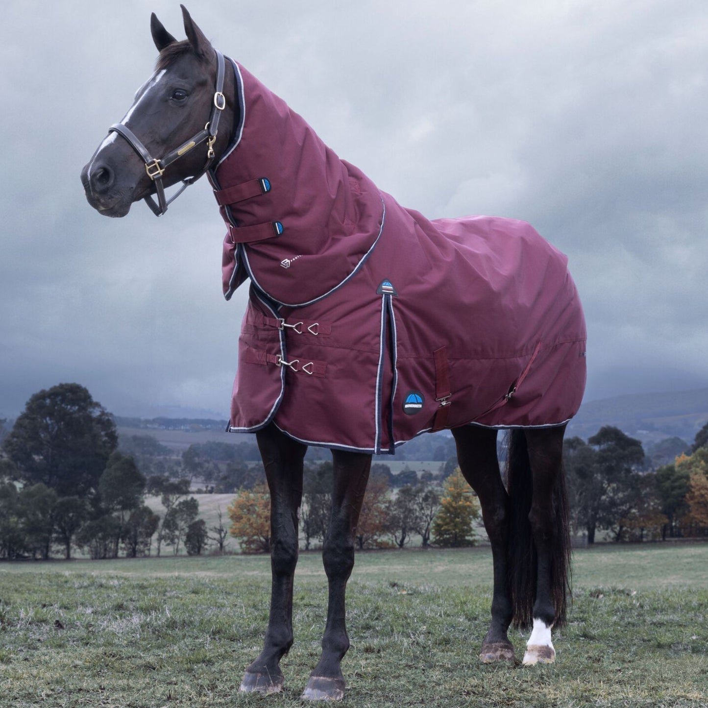 Weatherbeeta ComFiTec Essential Turnout Detach-A-Neck 220g Burgundy/Navy