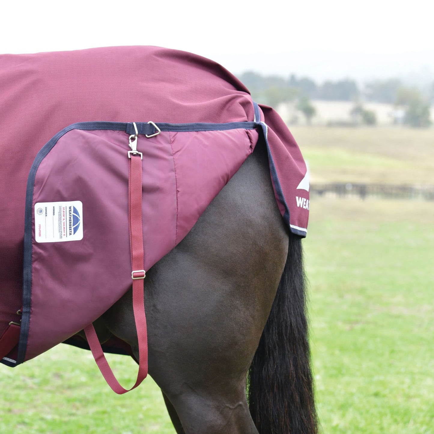 Weatherbeeta ComFiTec Essential Turnout Detach-A-Neck 220g Burgundy/Navy