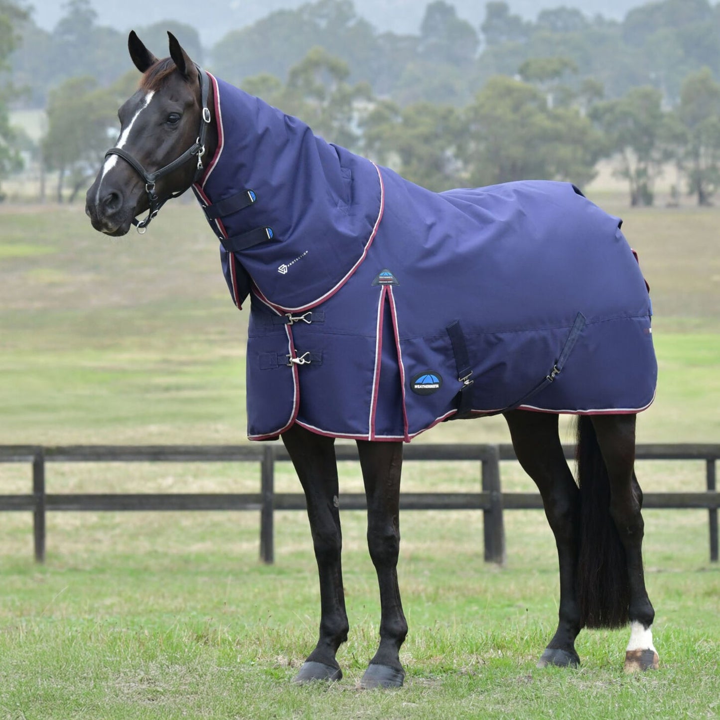 Weatherbeeta ComFiTec Essential Turnout Detach-A-Neck 50g Navy/Burgundy