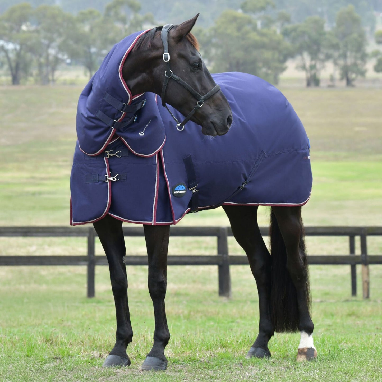 Weatherbeeta ComFiTec Essential Turnout Detach-A-Neck 50g Navy/Burgundy