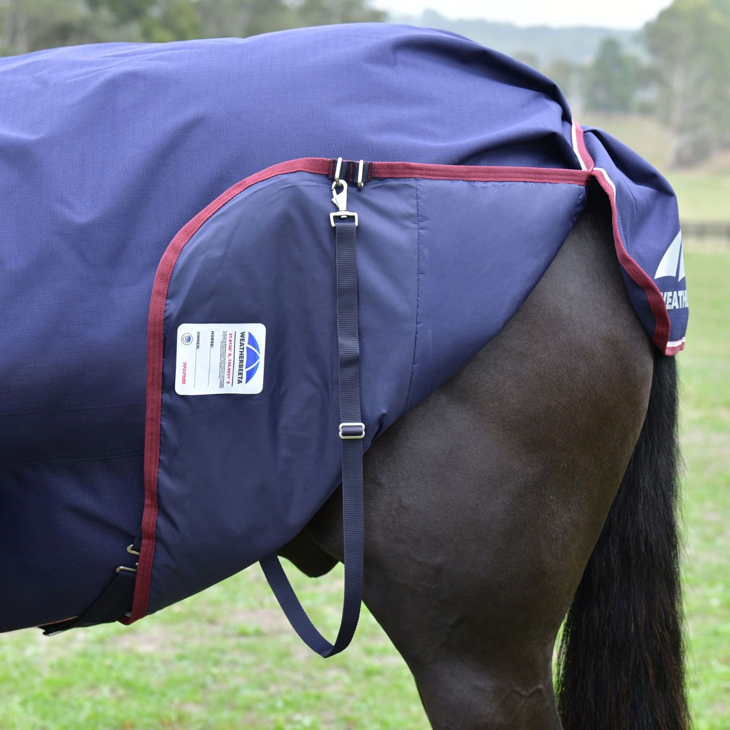 Weatherbeeta ComFiTec Essential Turnout Detach-A-Neck 50g Navy/Burgundy