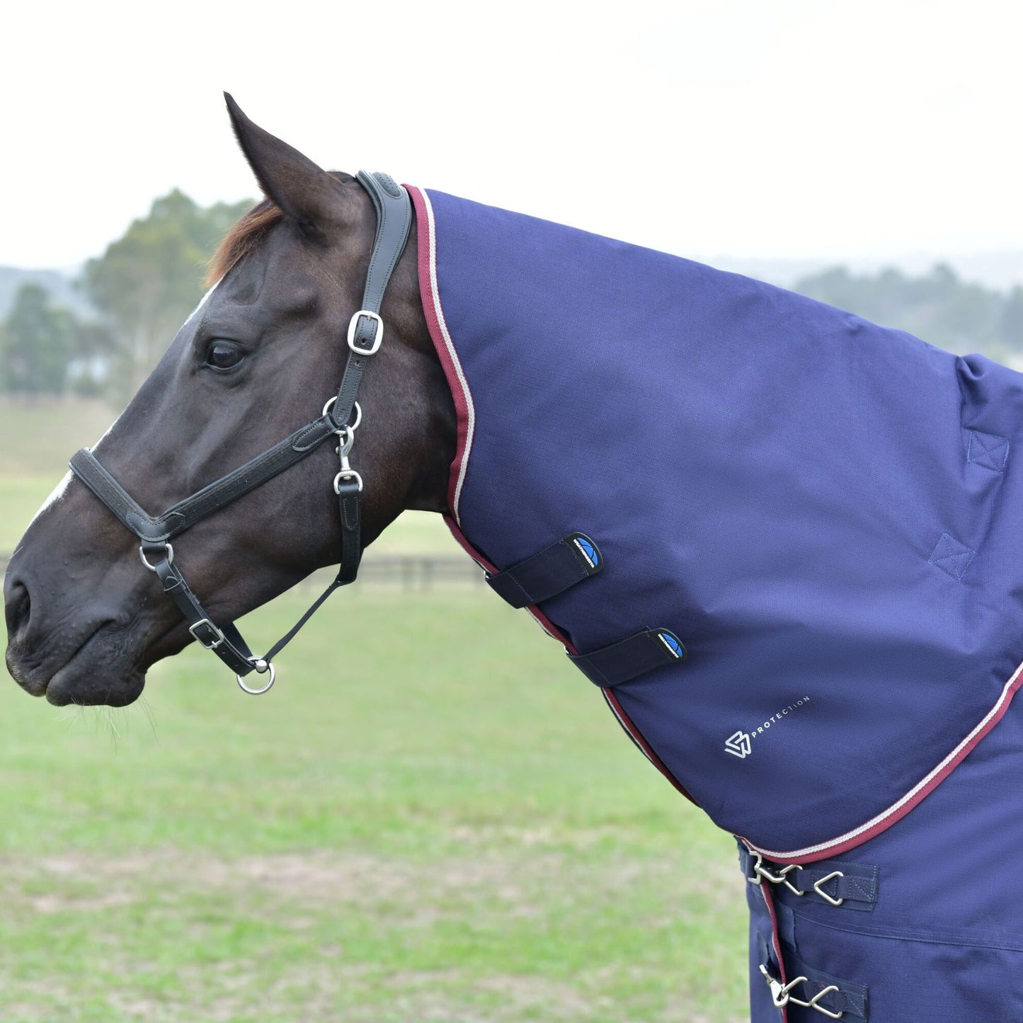 Weatherbeeta ComFiTec Essential Turnout Detach-A-Neck 50g Navy/Burgundy
