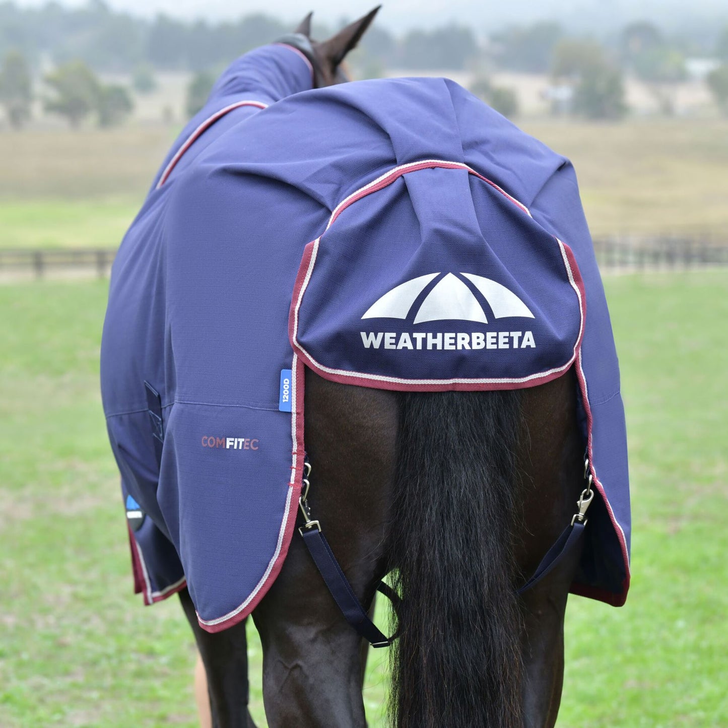 Weatherbeeta ComFiTec Essential Turnout Detach-A-Neck 50g Navy/Burgundy