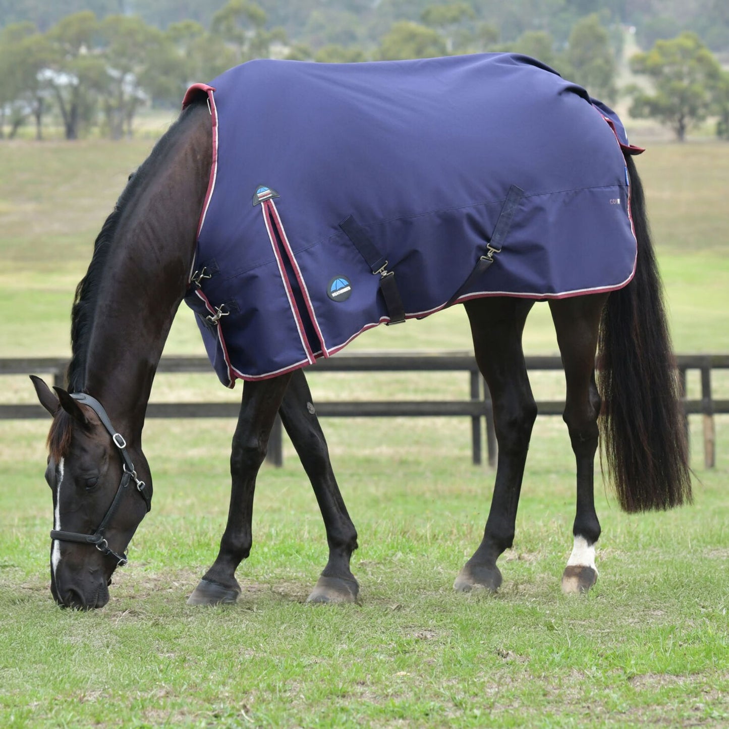 Weatherbeeta ComFiTec Essential Turnout 50g Navy/Burgundy
