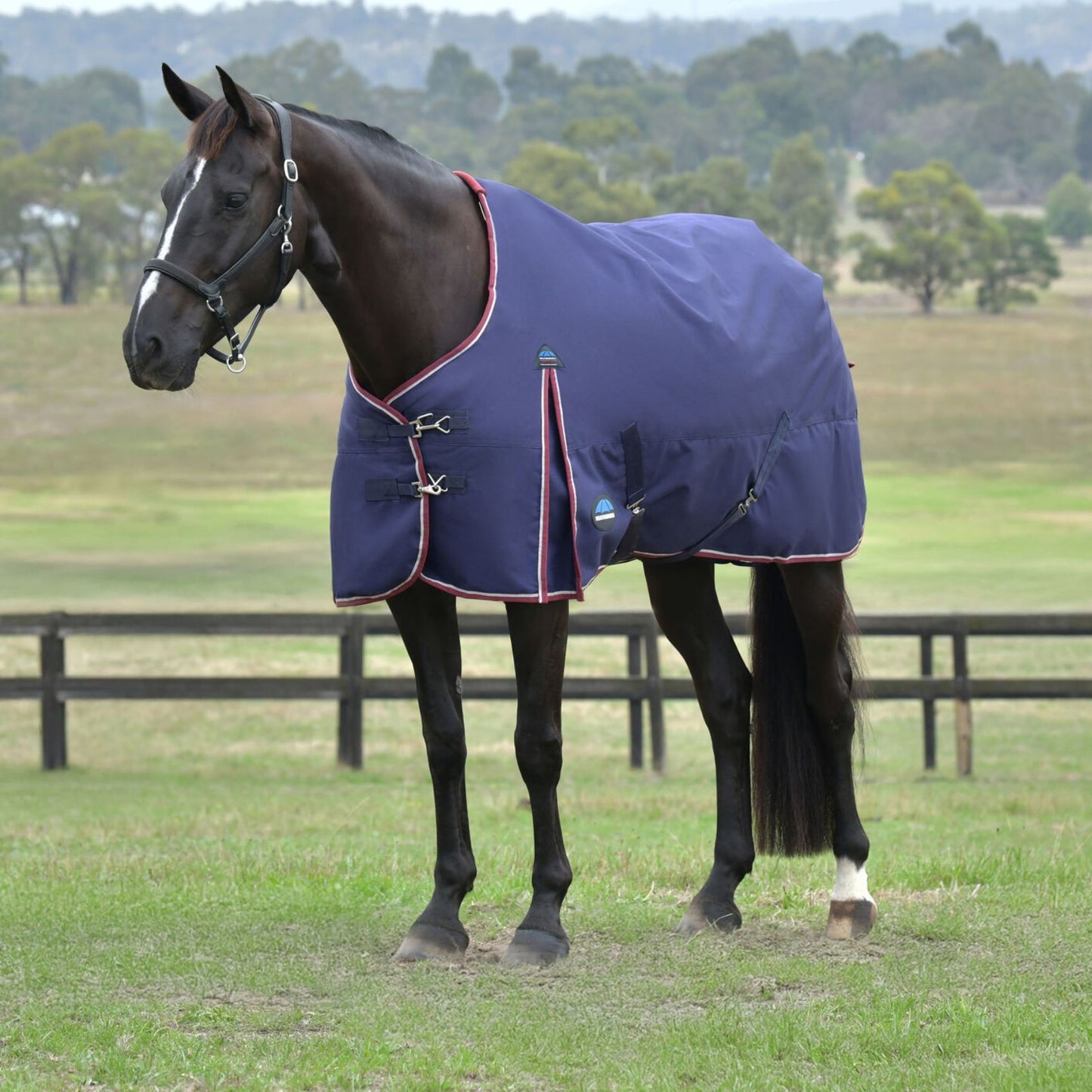 Weatherbeeta ComFiTec Essential Turnout 50g Navy/Burgundy