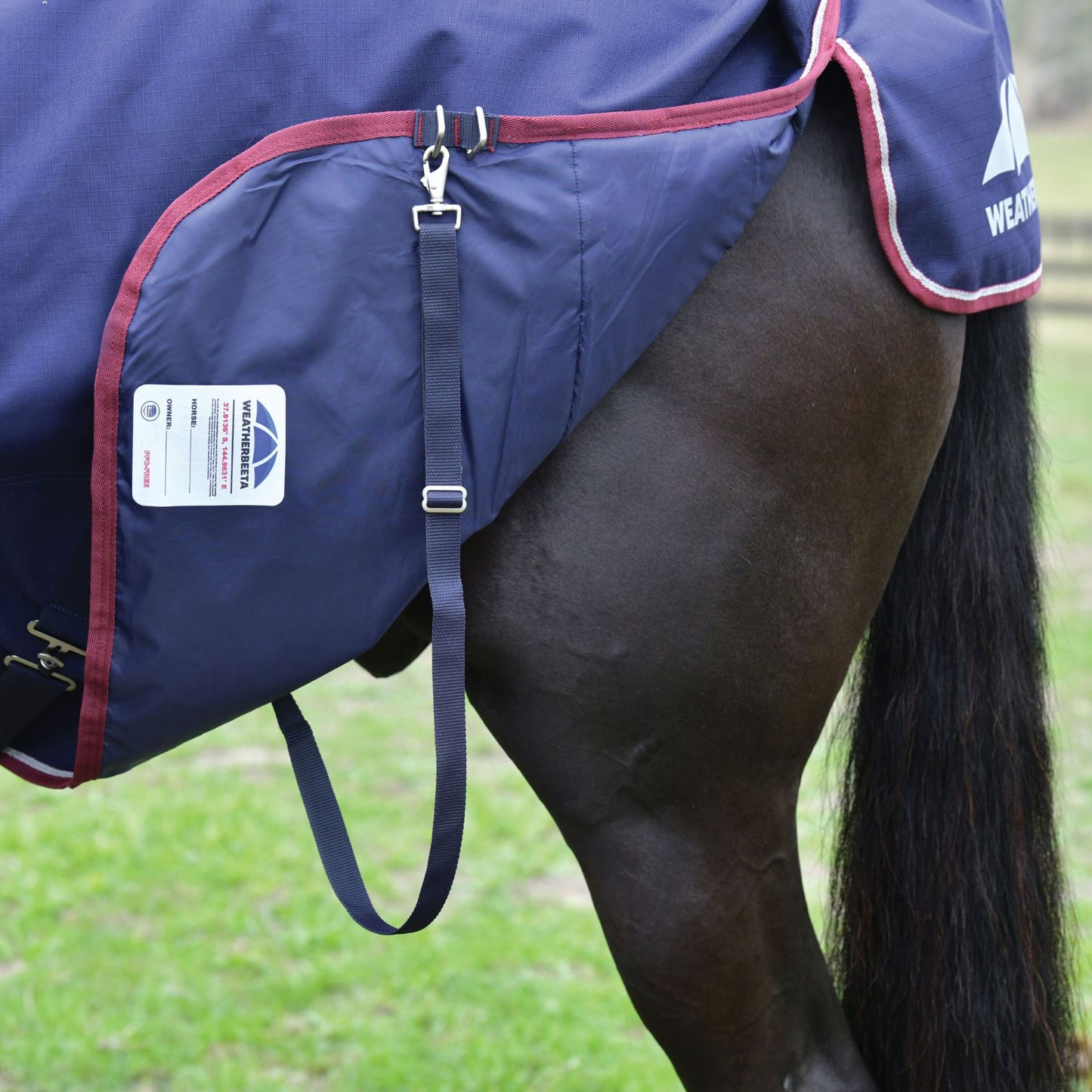 Weatherbeeta ComFiTec Essential Turnout 50g Navy/Burgundy