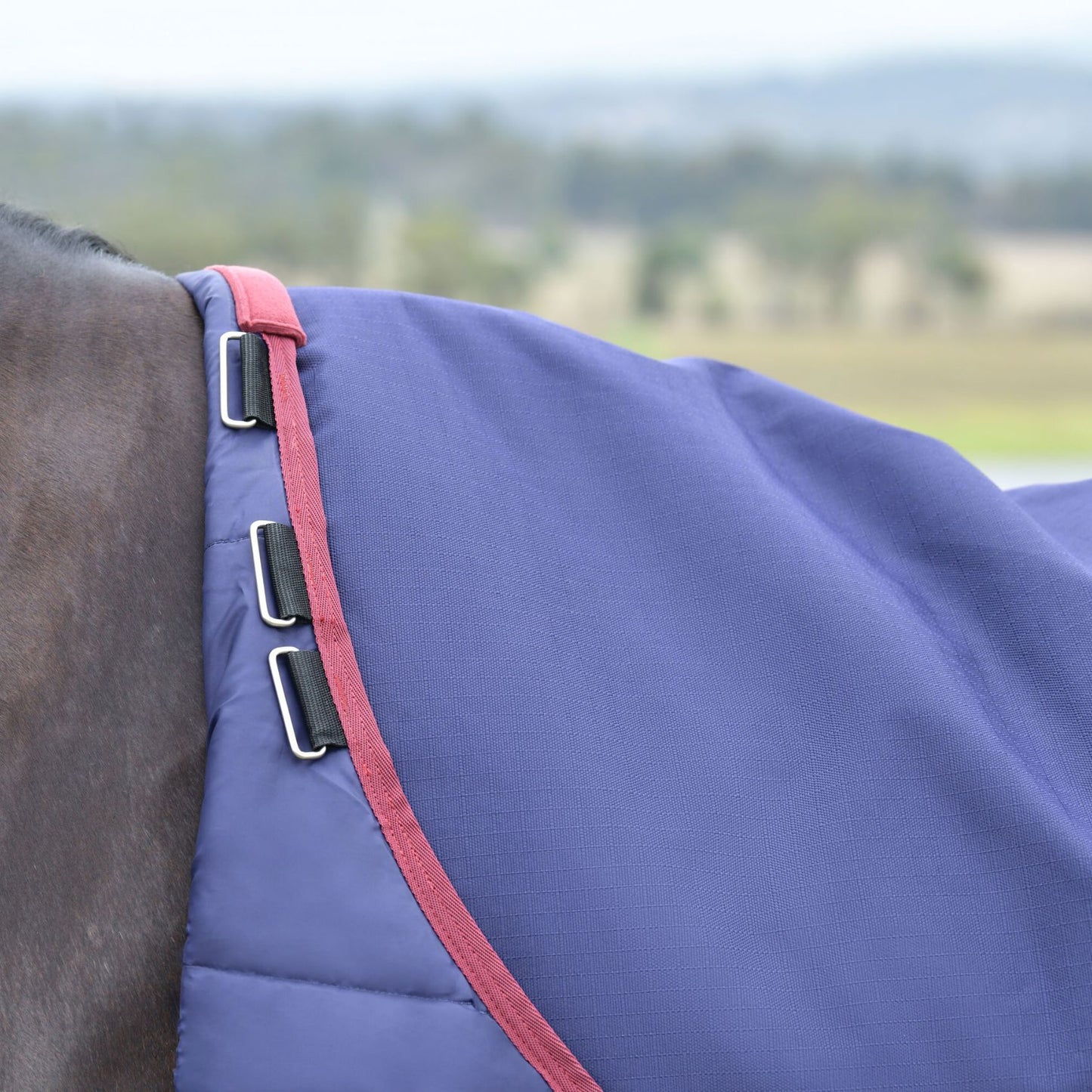Weatherbeeta ComFiTec Essential Turnout 50g Navy/Burgundy