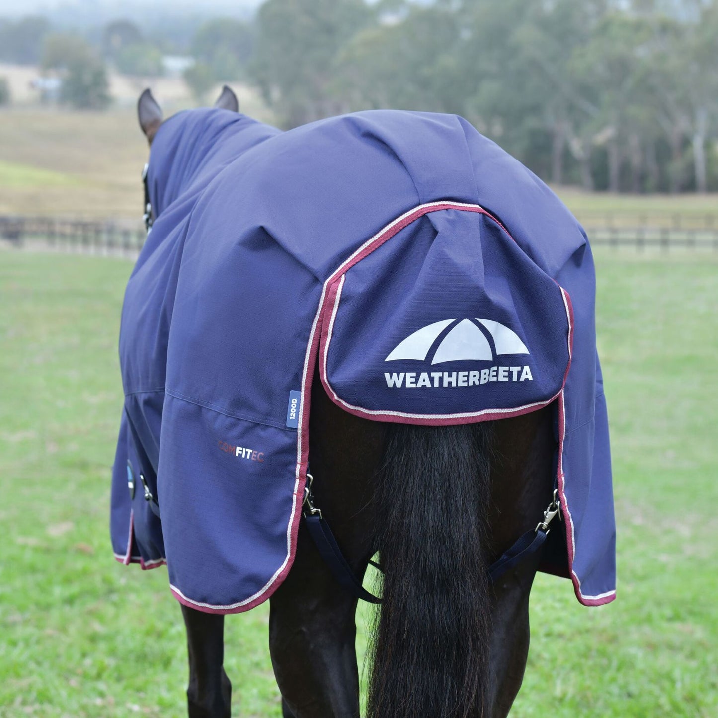 Weatherbeeta ComFiTec Essential Turnout 50g Navy/Burgundy