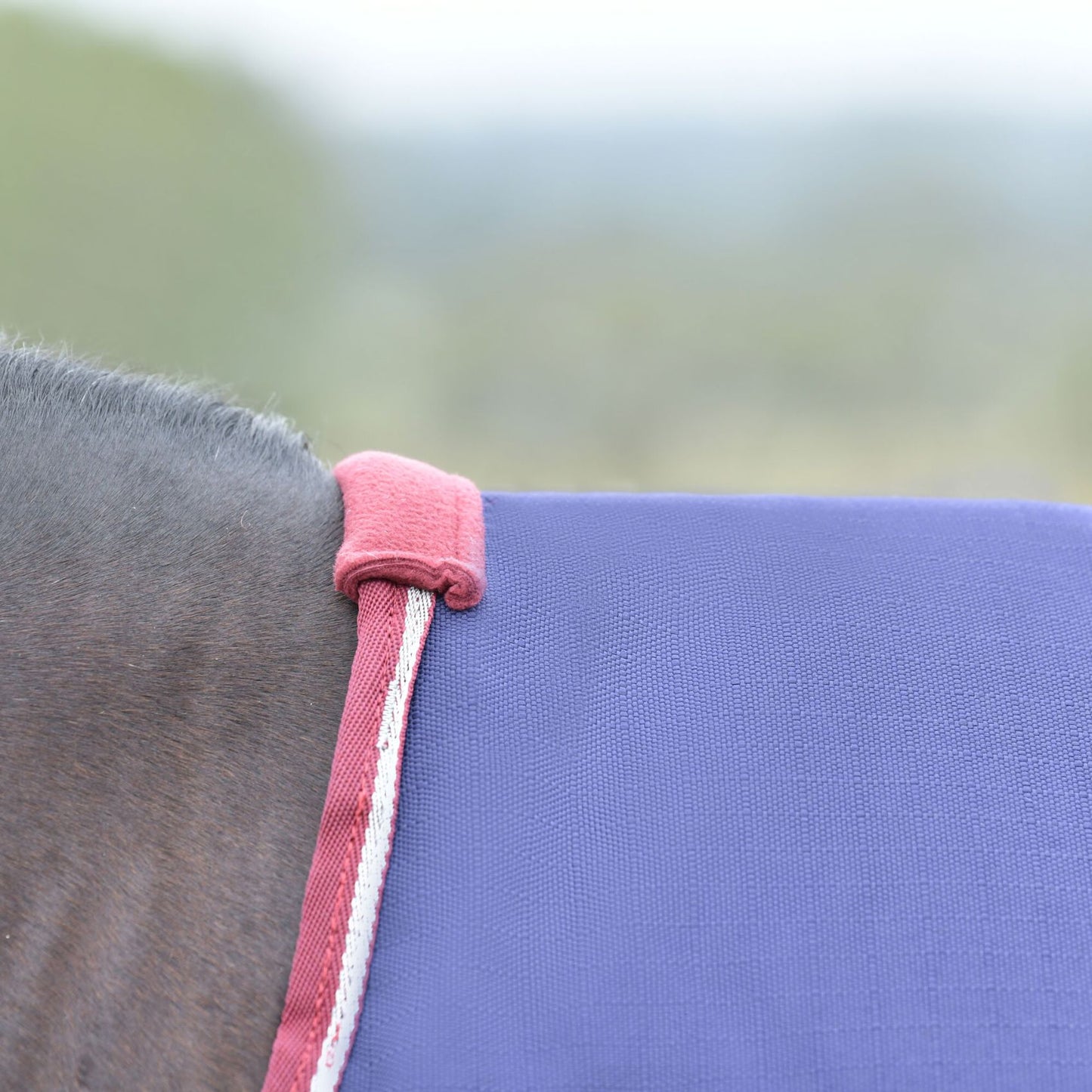 Weatherbeeta ComFiTec Essential Turnout 50g Navy/Burgundy