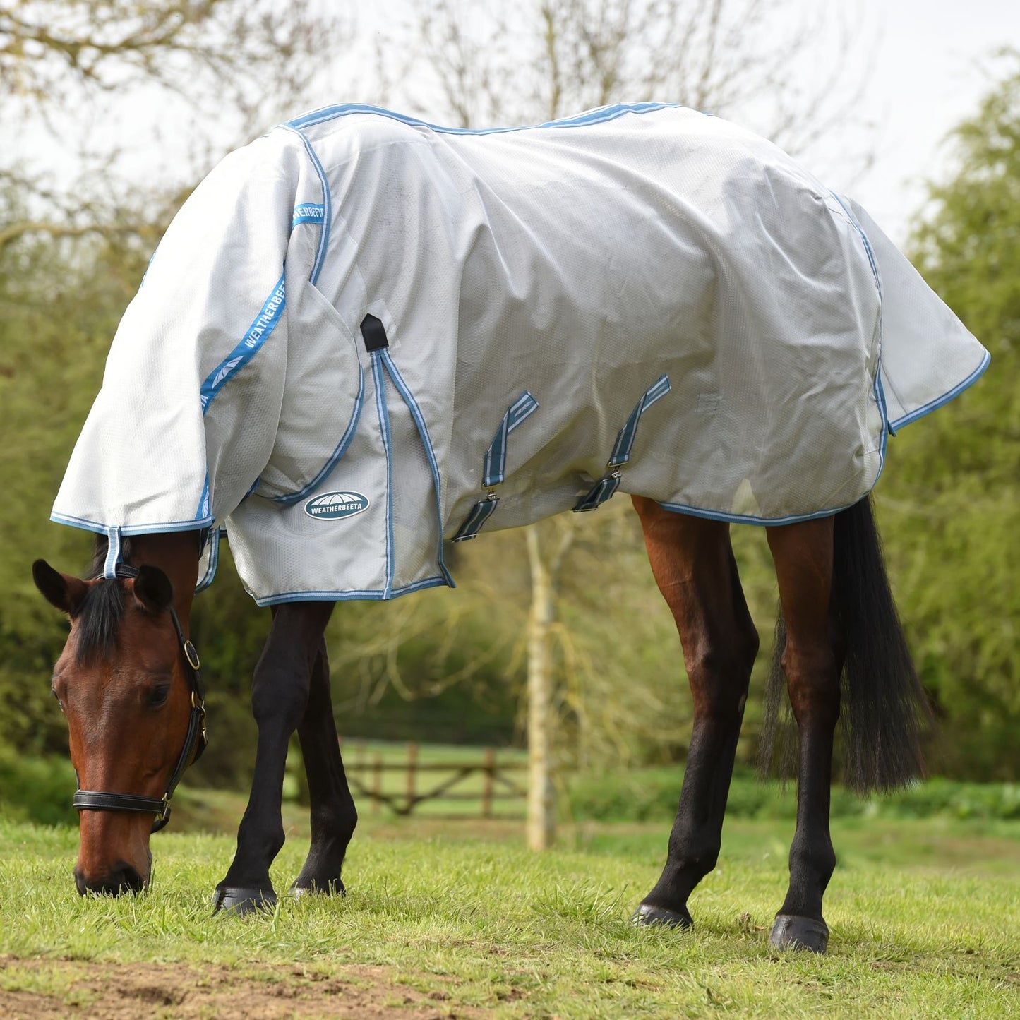 Weatherbeeta ComFiTec Hexi Shield Combo Silver/Teal Blue