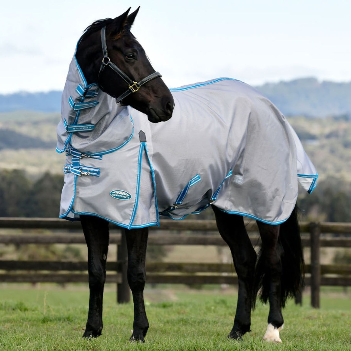 Weatherbeeta ComFiTec Hexi Shield Combo Silver/Teal Blue