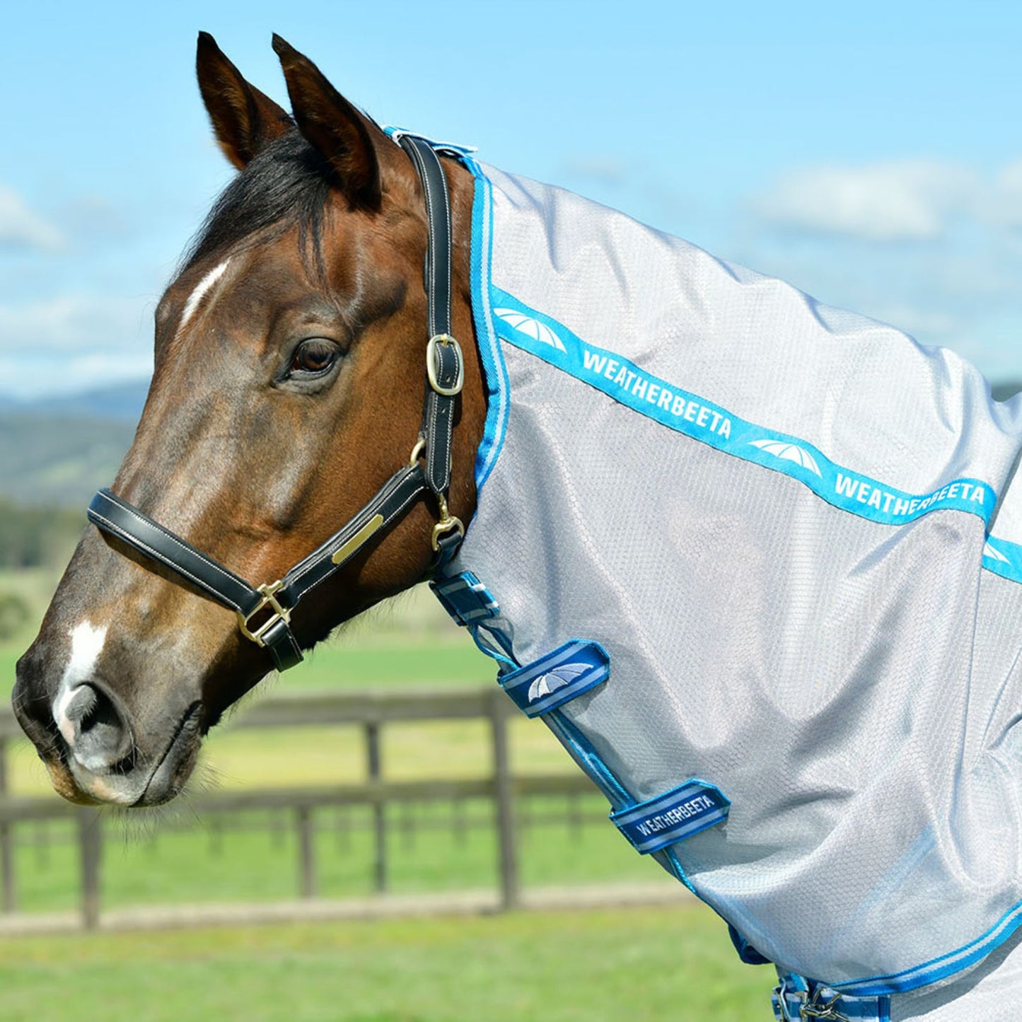 Weatherbeeta ComFiTec Hexi Shield Combo Silver/Teal Blue