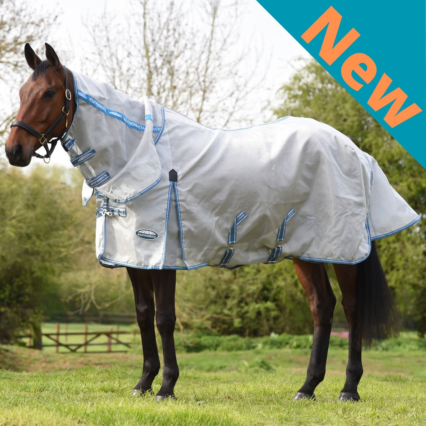 Weatherbeeta ComFiTec Hexi Shield Combo Silver/Teal Blue