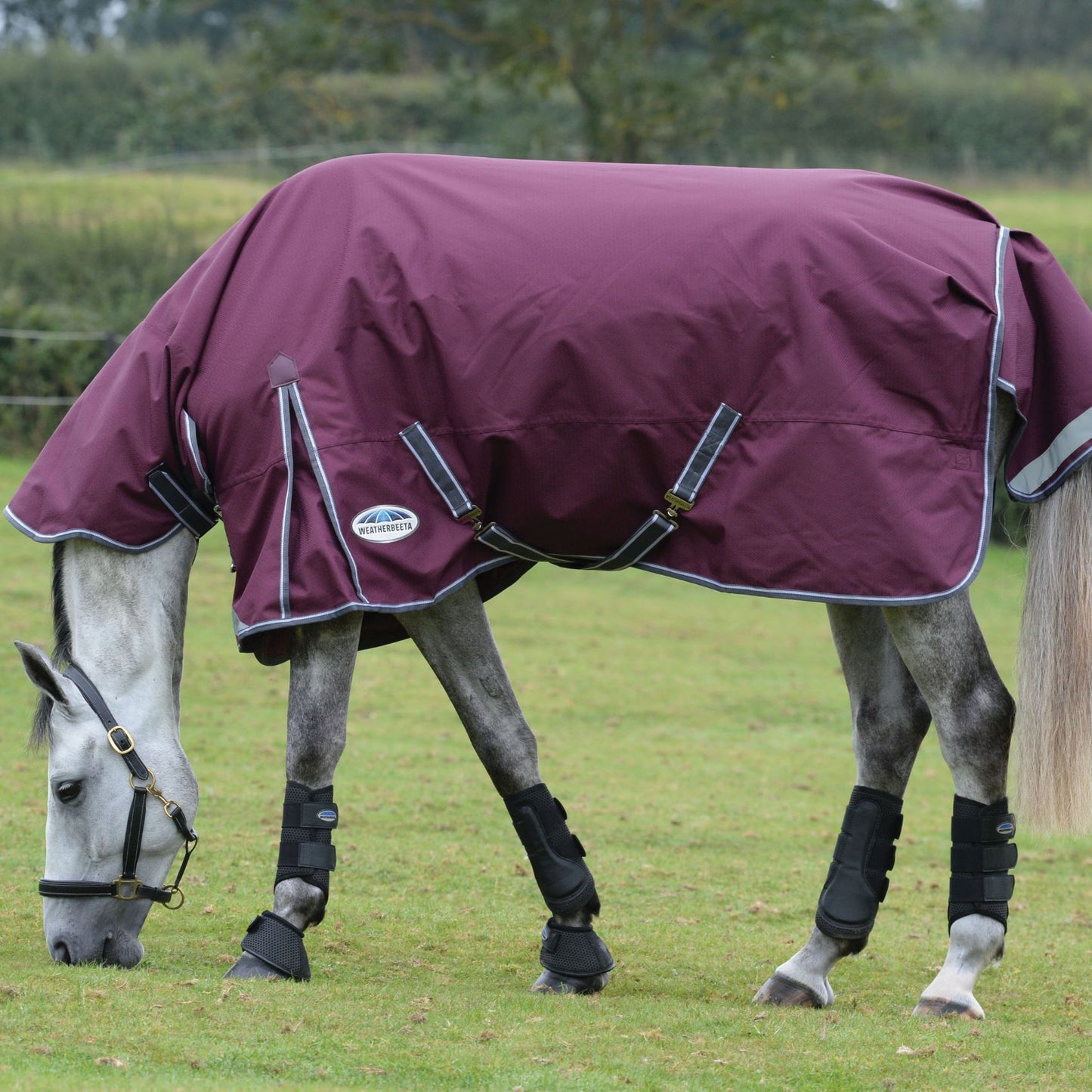 Weatherbeeta ComFiTec Plus Dynamic II Combo Lite Maroon/Grey/White