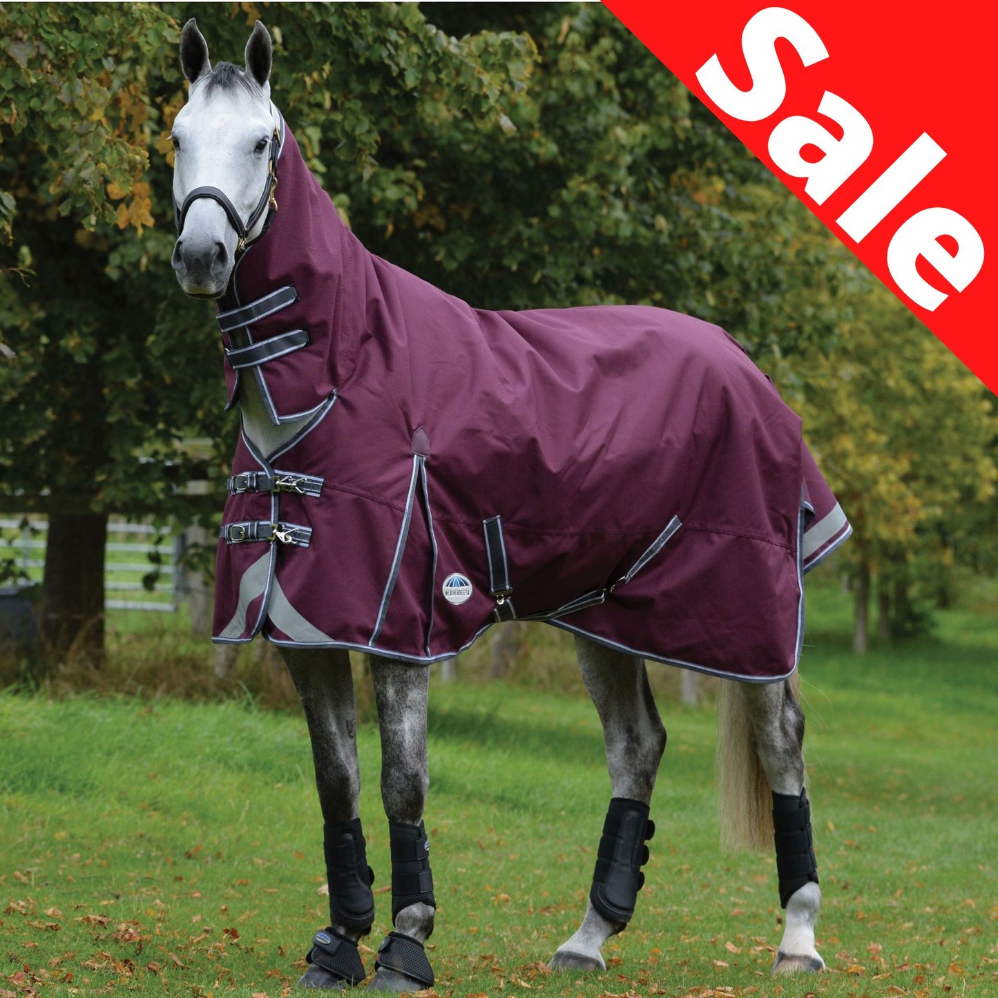 Weatherbeeta ComFiTec Plus Dynamic II Combo Lite Maroon/Grey/White