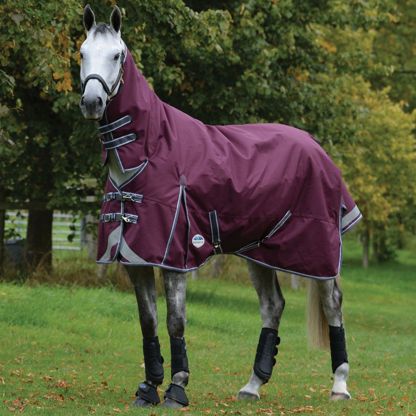 Weatherbeeta ComFiTec Plus Dynamic II Combo Lite Maroon/Grey/White
