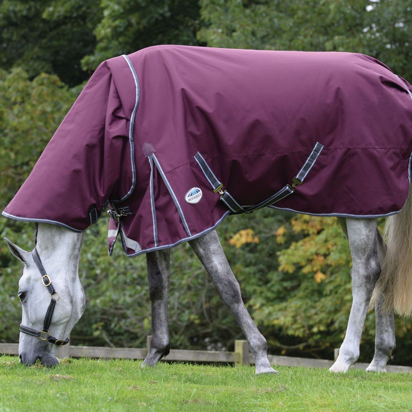 Weatherbeeta ComFiTec Plus Dynamic II Detach-A-Neck Heavy Maroon/Grey/White