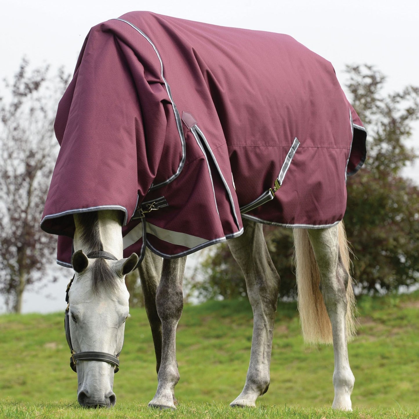 Weatherbeeta ComFiTec Plus Dynamic II Detach-A-Neck Lite Maroon/Grey/White
