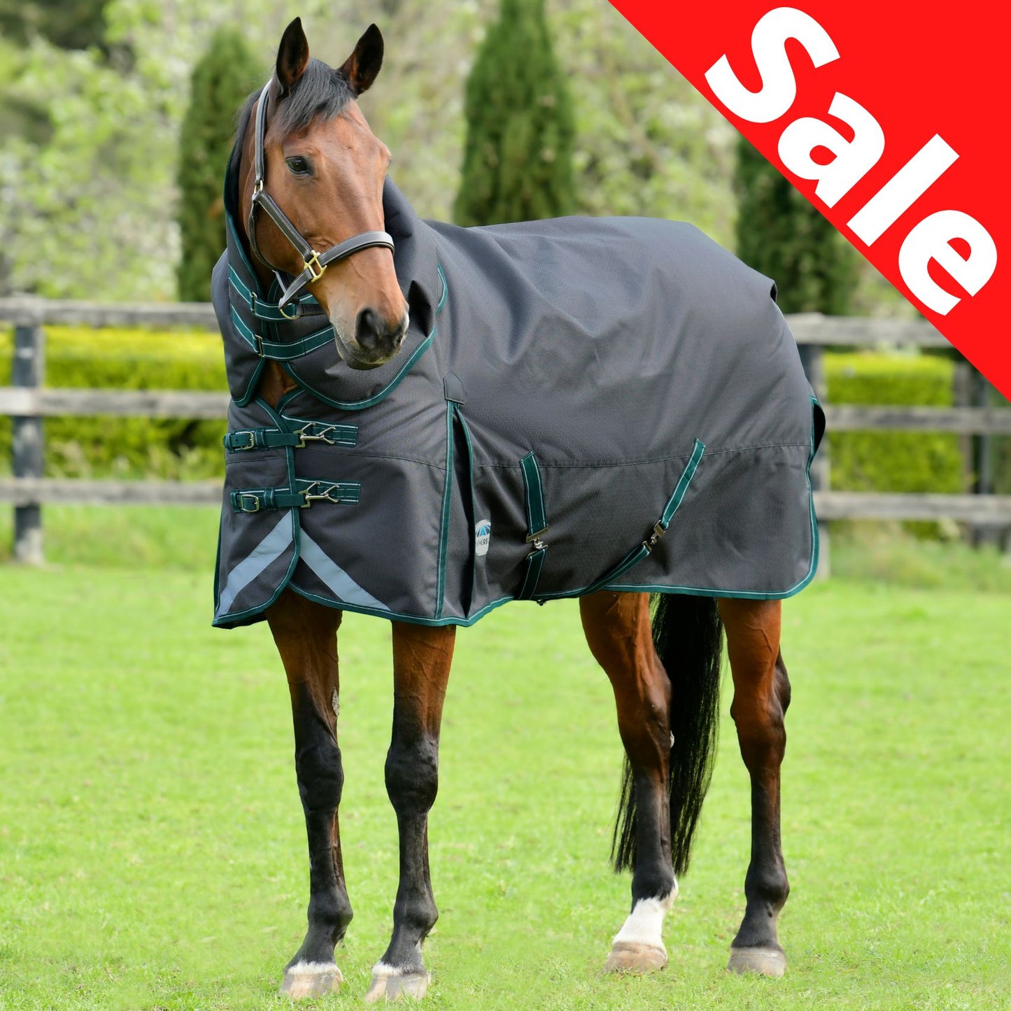Weatherbeeta ComFiTec Plus Dynamic II Detach-A-Neck Medium/Lite 100g Grey/Dark Green/White