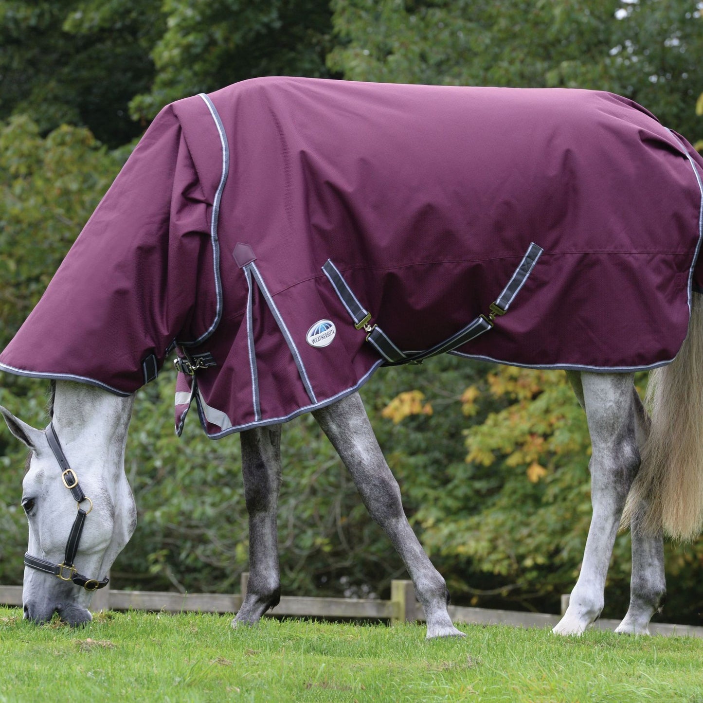 Weatherbeeta ComFiTec Plus Dynamic II Detach-A-Neck Medium/Lite 100g Maroon/Grey/White