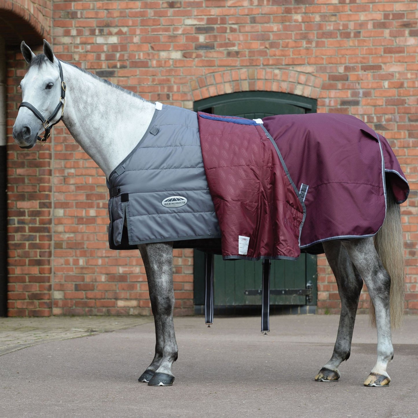 Weatherbeeta ComFiTec Plus Dynamic II Detach-A-Neck Medium/Lite 100g Grey/Dark Green/White