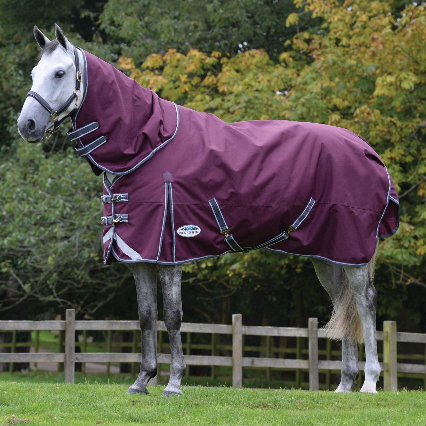 Weatherbeeta ComFiTec Plus Dynamic II Detach-A-Neck Medium/Lite 100g Maroon/Grey/White