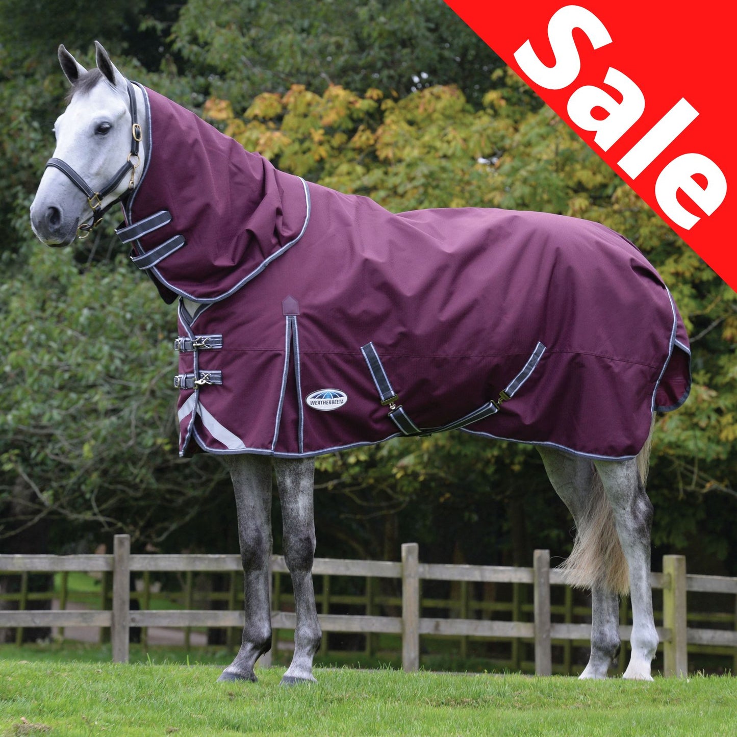 Weatherbeeta ComFiTec Plus Dynamic II Detach-A-Neck Medium Maroon/Grey/White