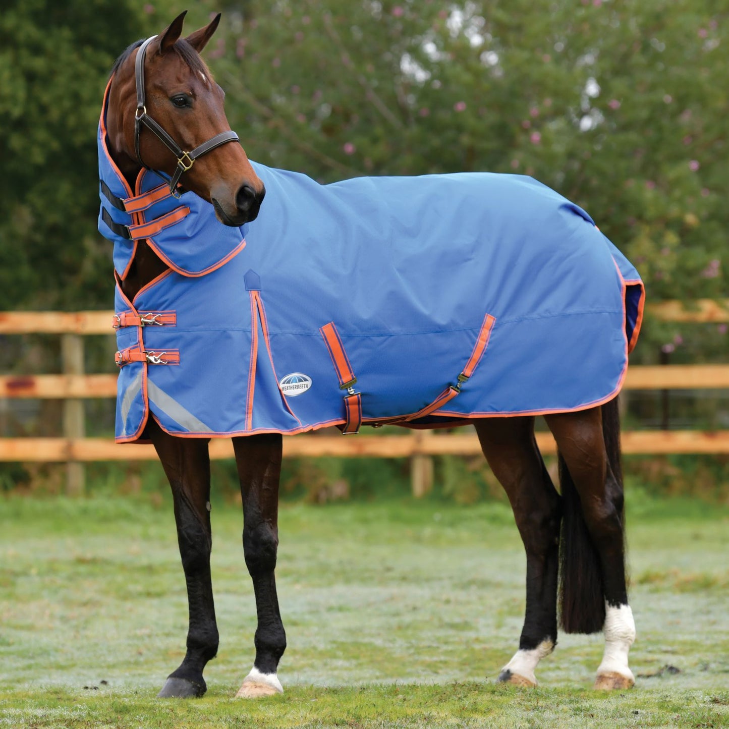 Weatherbeeta ComFiTec Plus Dynamic II Detach-A-Neck Medium Royal Blue/Orange