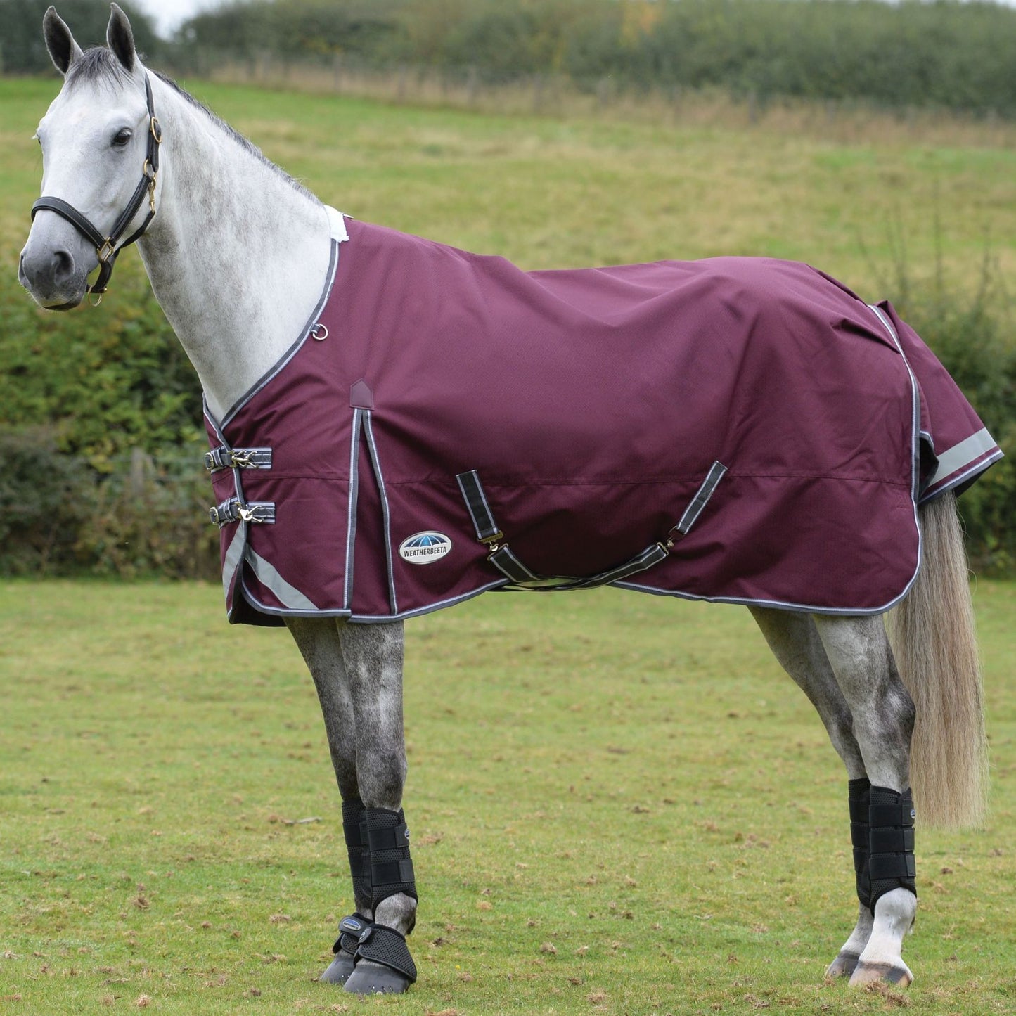Weatherbeeta ComFiTec Plus Dynamic II Standard Lite Maroon/Grey/White