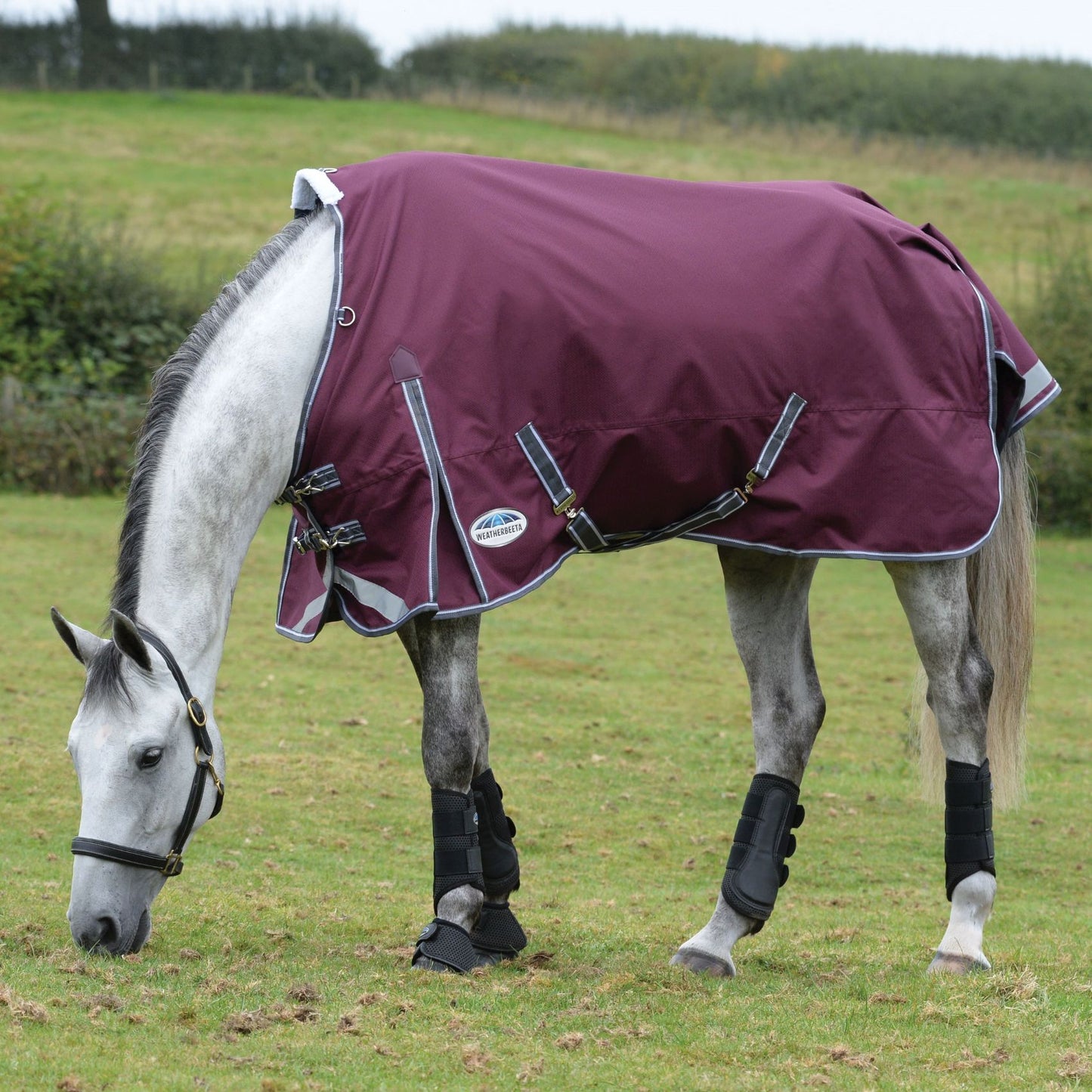 Weatherbeeta ComFiTec Plus Dynamic II Standard Lite Maroon/Grey/White