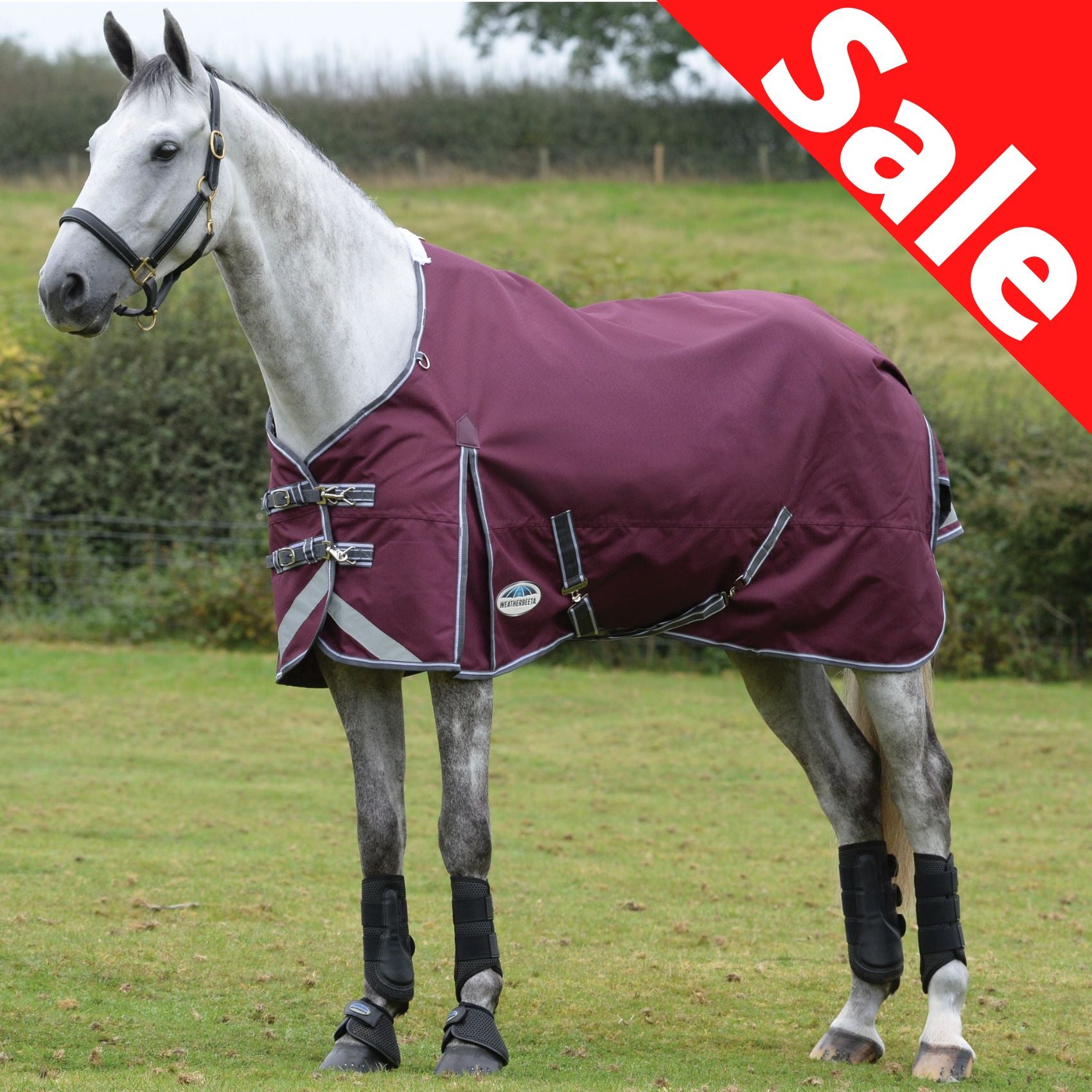 Weatherbeeta Comfitec Plus Dynamic II achable Neck Midweight Horse Turnout Rug Maroon/Grey/White Weatherbeeta Comfitec Plus Dynamic II achable Neck Midweight Horse Turnout Rug Maroon/Grey/White